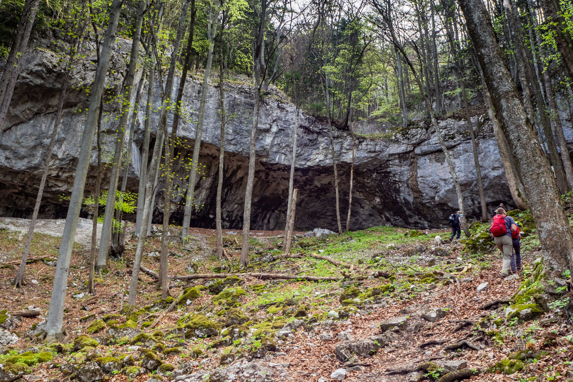 Tlstá a Ostrá z Konského dolu, ústia (Veľká Fatra)