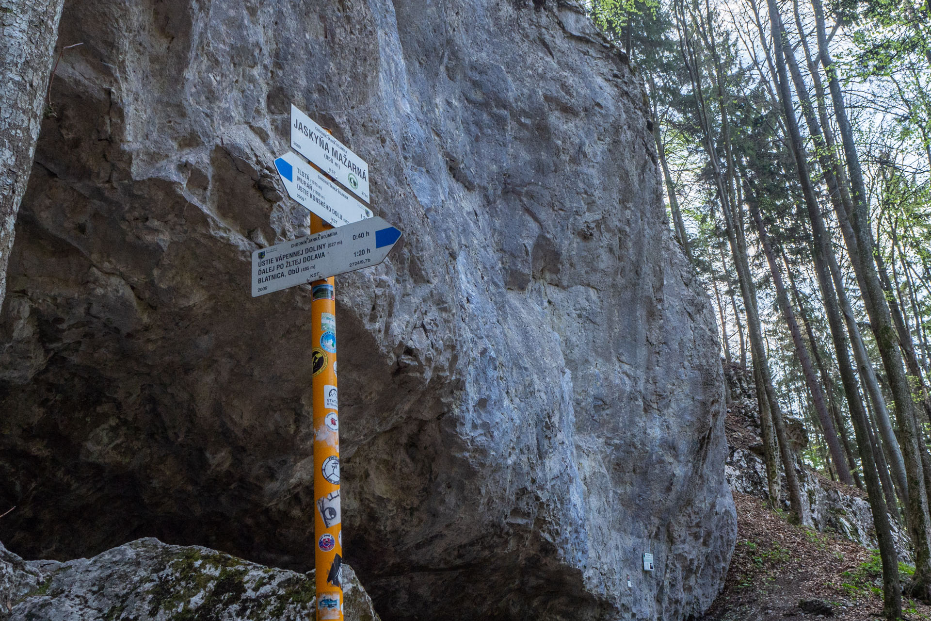 Tlstá a Ostrá z Konského dolu, ústia (Veľká Fatra)