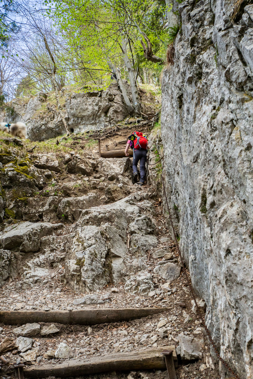 Tlstá a Ostrá z Konského dolu, ústia (Veľká Fatra)