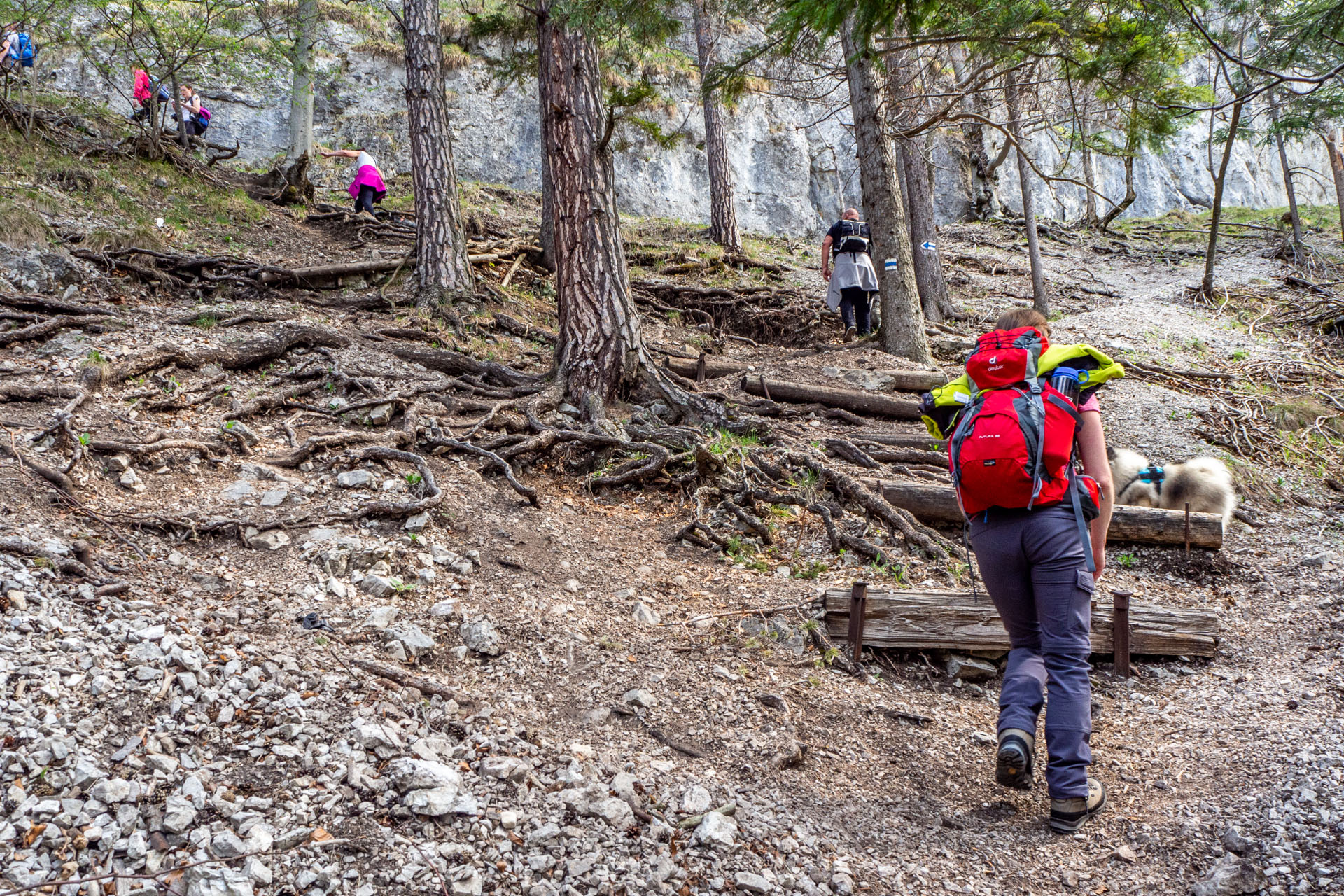 Tlstá a Ostrá z Konského dolu, ústia (Veľká Fatra)