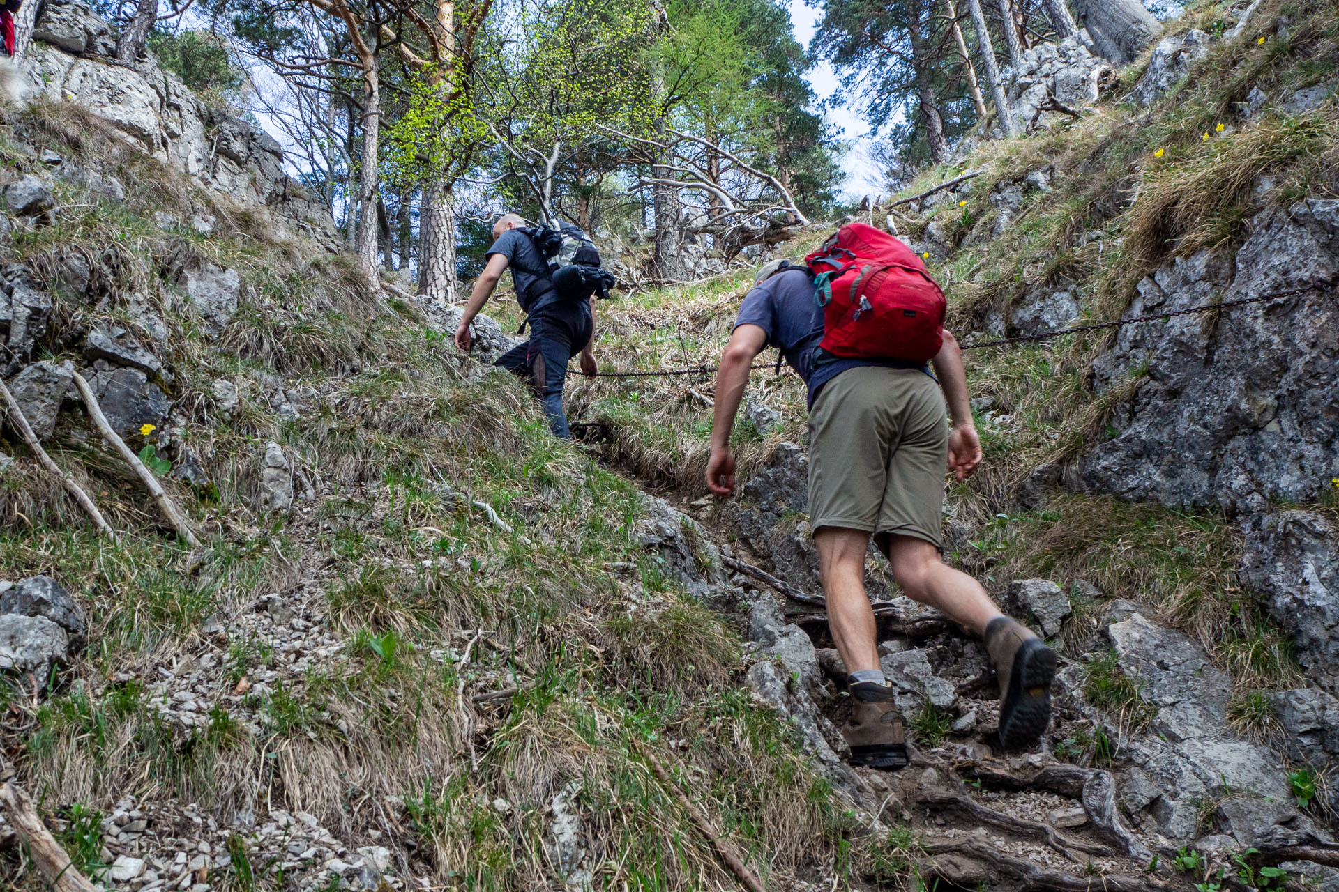 Tlstá a Ostrá z Konského dolu, ústia (Veľká Fatra)