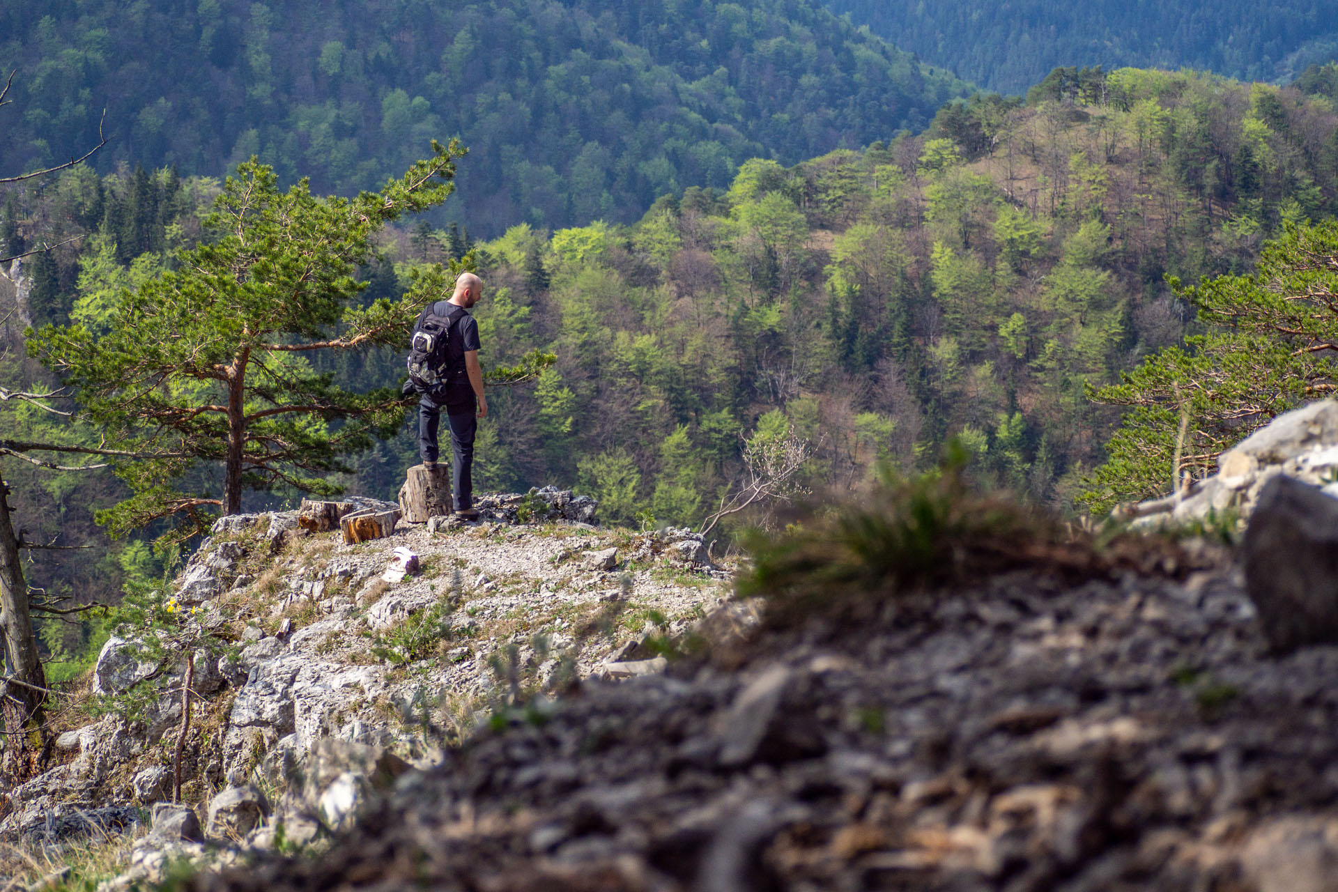 Tlstá a Ostrá z Konského dolu, ústia (Veľká Fatra)