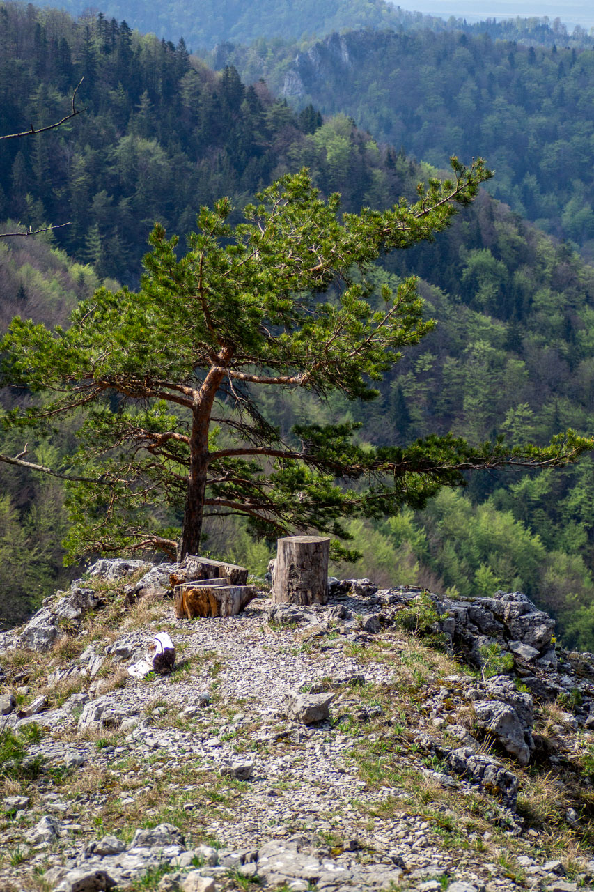 Tlstá a Ostrá z Konského dolu, ústia (Veľká Fatra)