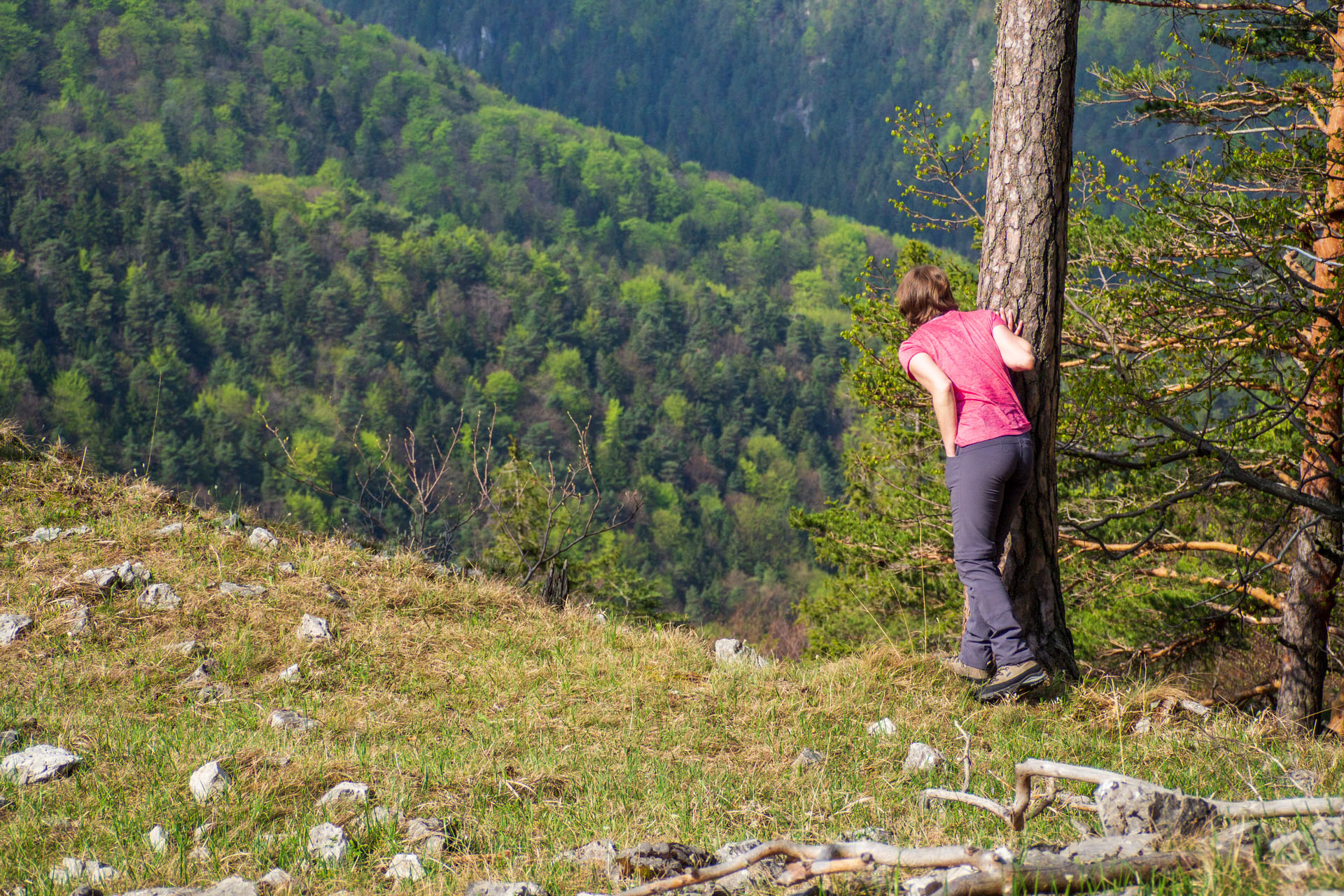 Tlstá a Ostrá z Konského dolu, ústia (Veľká Fatra)