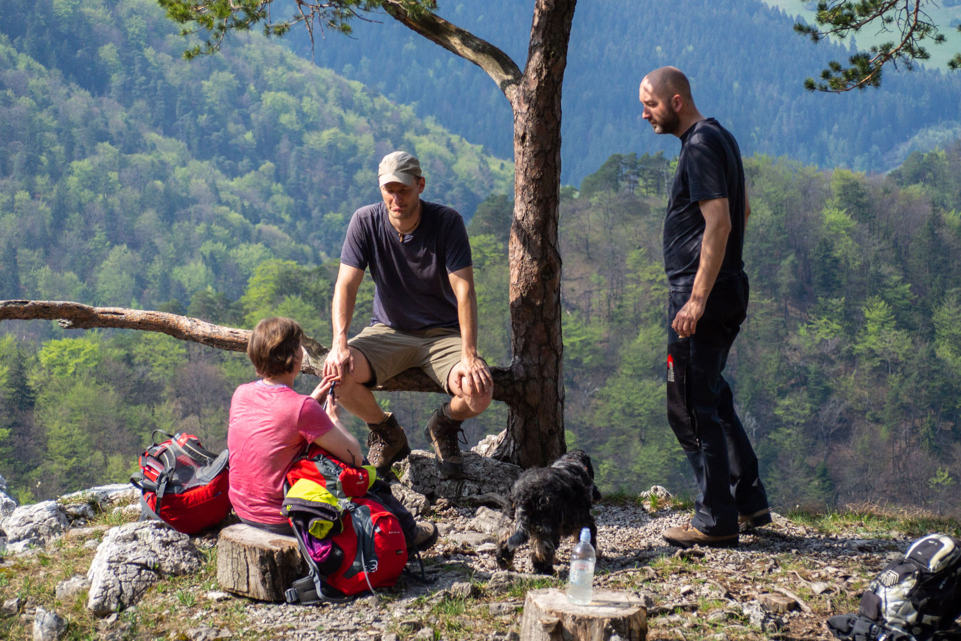 Tlstá a Ostrá z Konského dolu, ústia (Veľká Fatra)