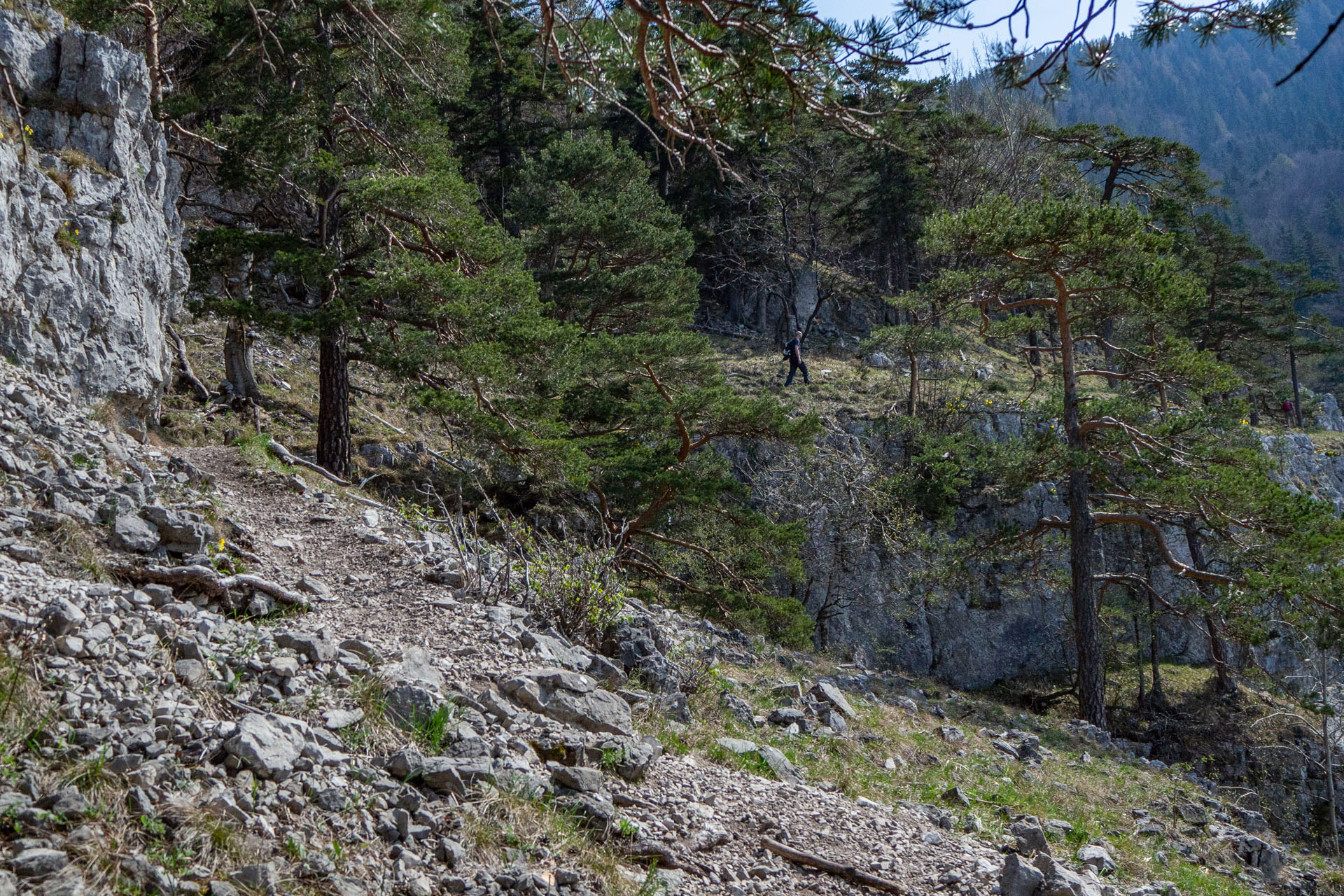 Tlstá a Ostrá z Konského dolu, ústia (Veľká Fatra)