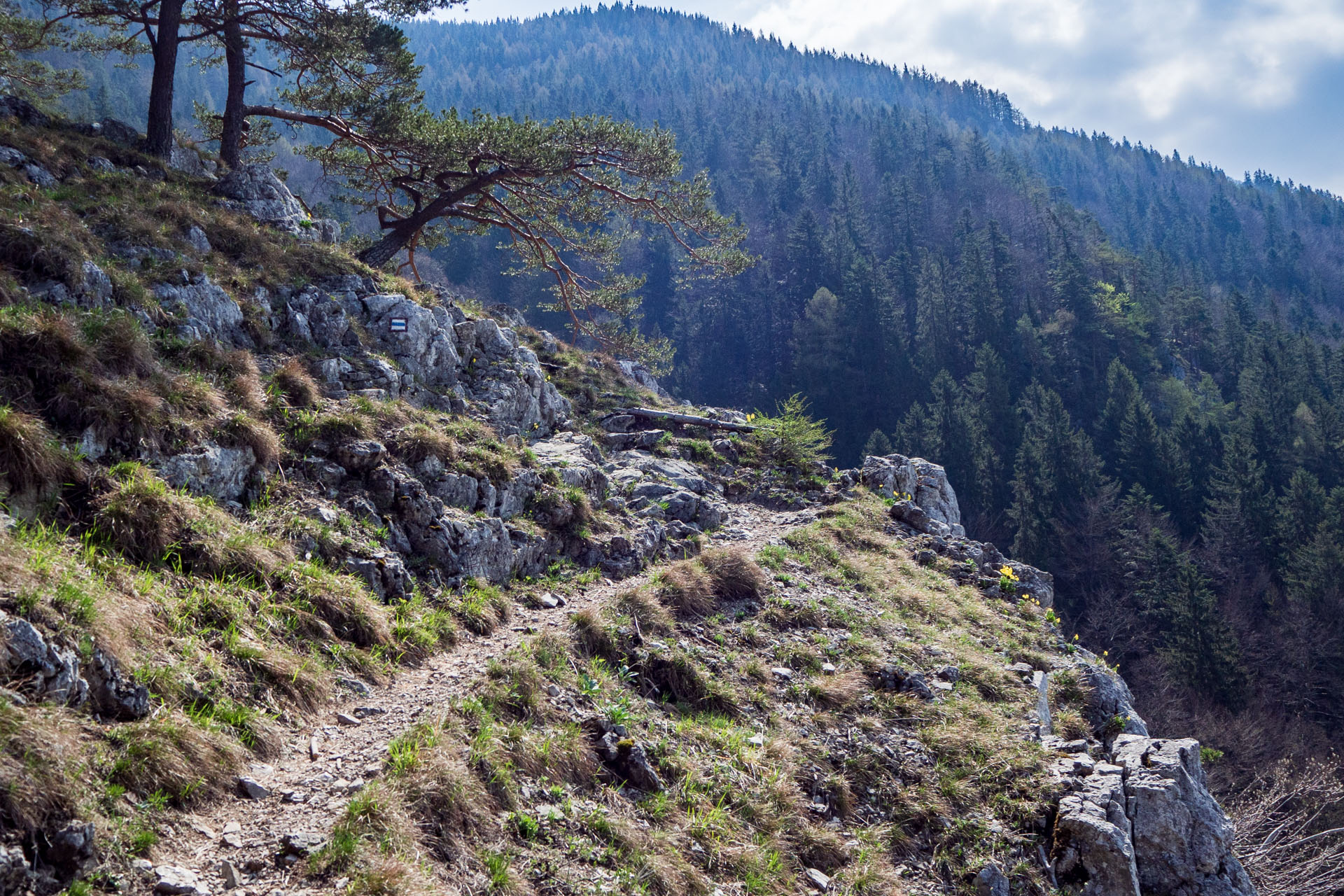 Tlstá a Ostrá z Konského dolu, ústia (Veľká Fatra)