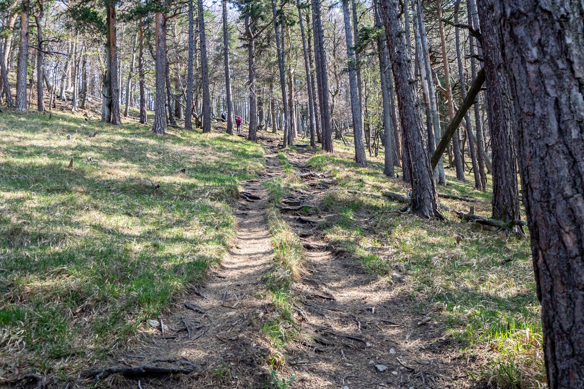 Tlstá a Ostrá z Konského dolu, ústia (Veľká Fatra)