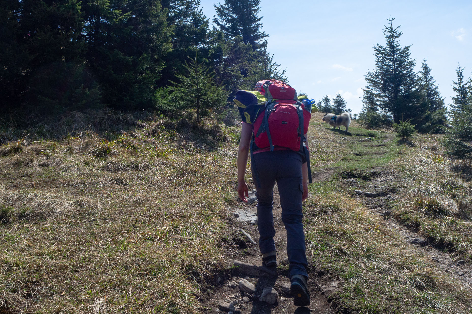 Tlstá a Ostrá z Konského dolu, ústia (Veľká Fatra)