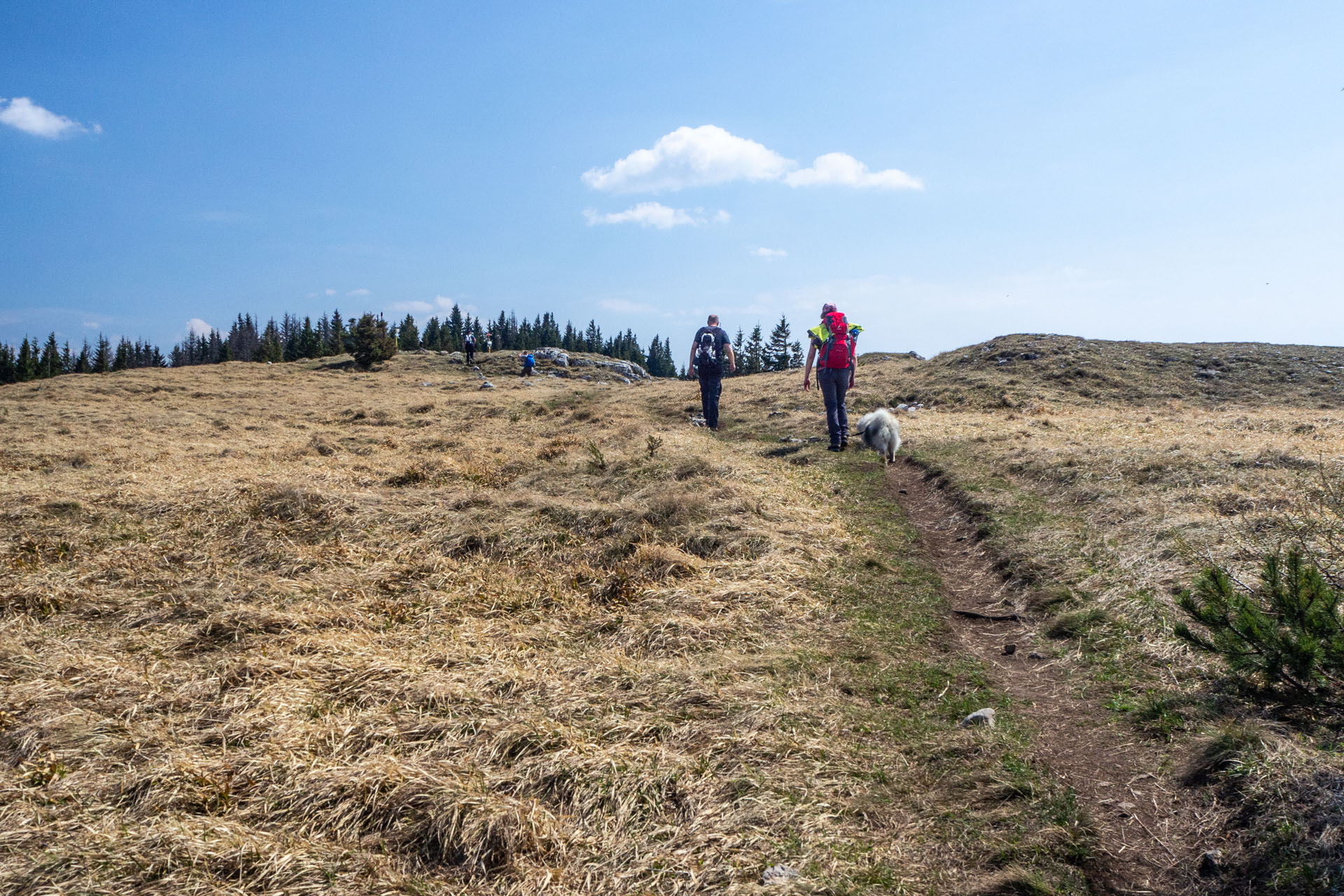 Tlstá a Ostrá z Konského dolu, ústia (Veľká Fatra)