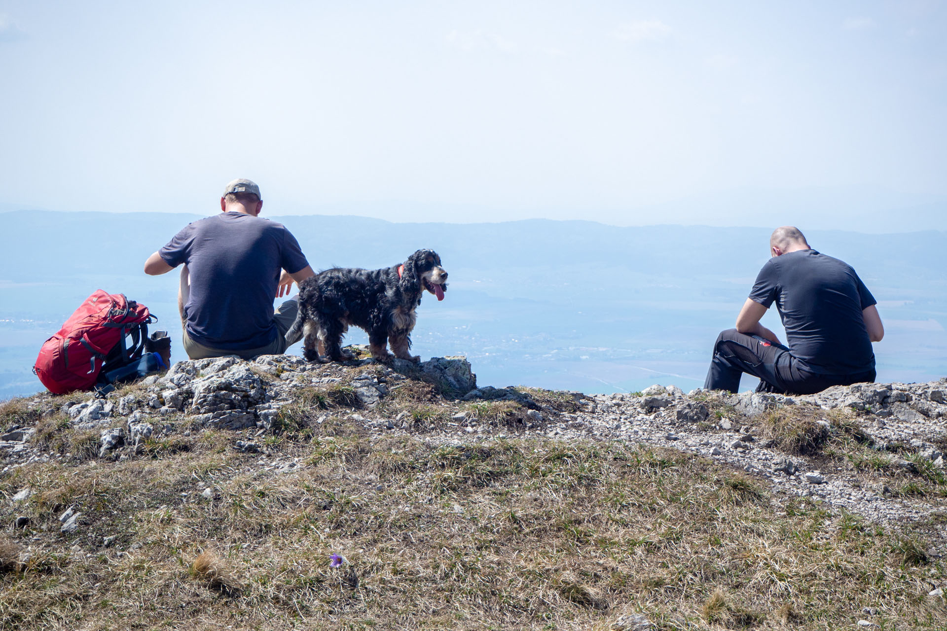 Tlstá a Ostrá z Konského dolu, ústia (Veľká Fatra)