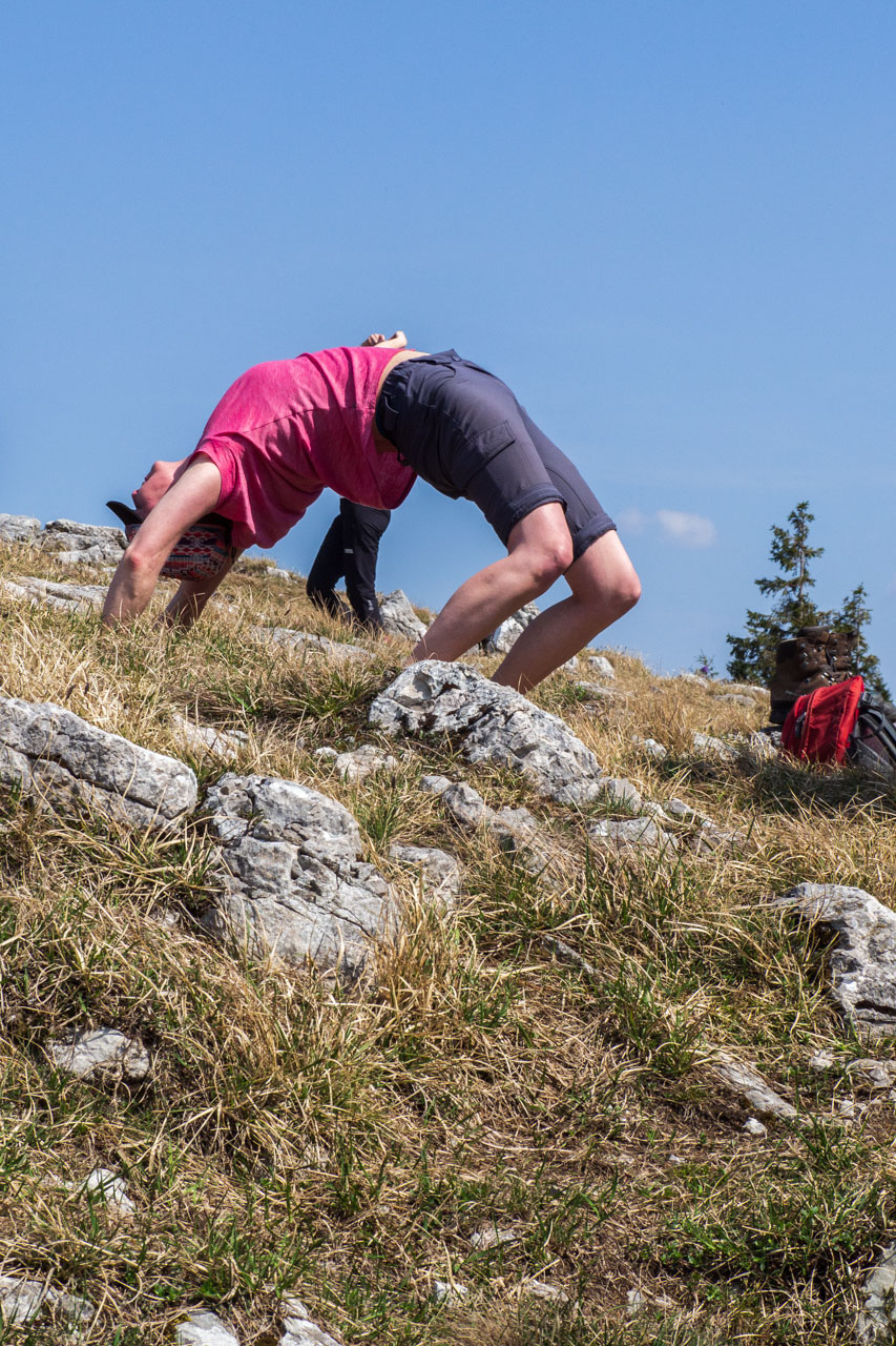 Tlstá a Ostrá z Konského dolu, ústia (Veľká Fatra)