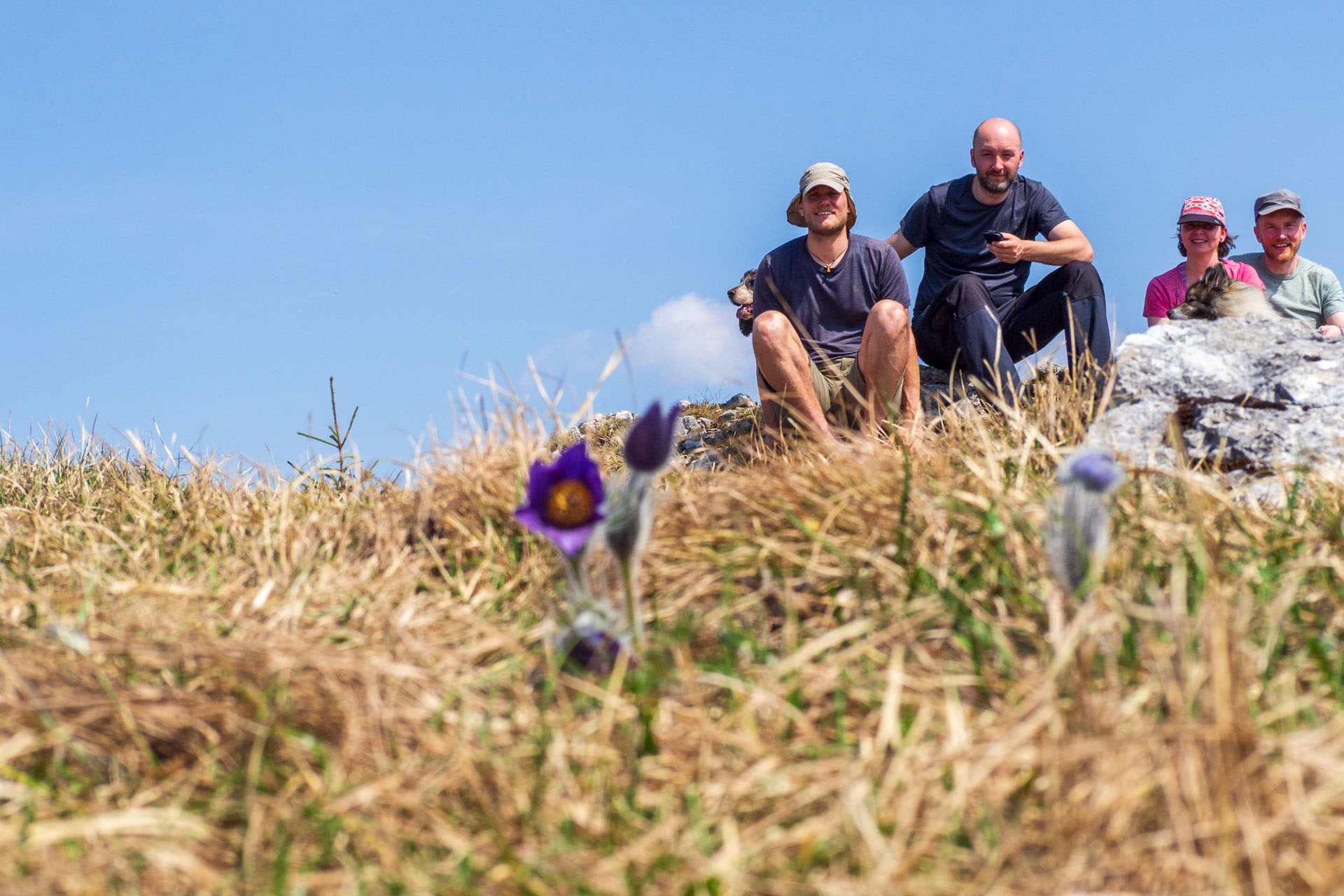 Tlstá a Ostrá z Konského dolu, ústia (Veľká Fatra)