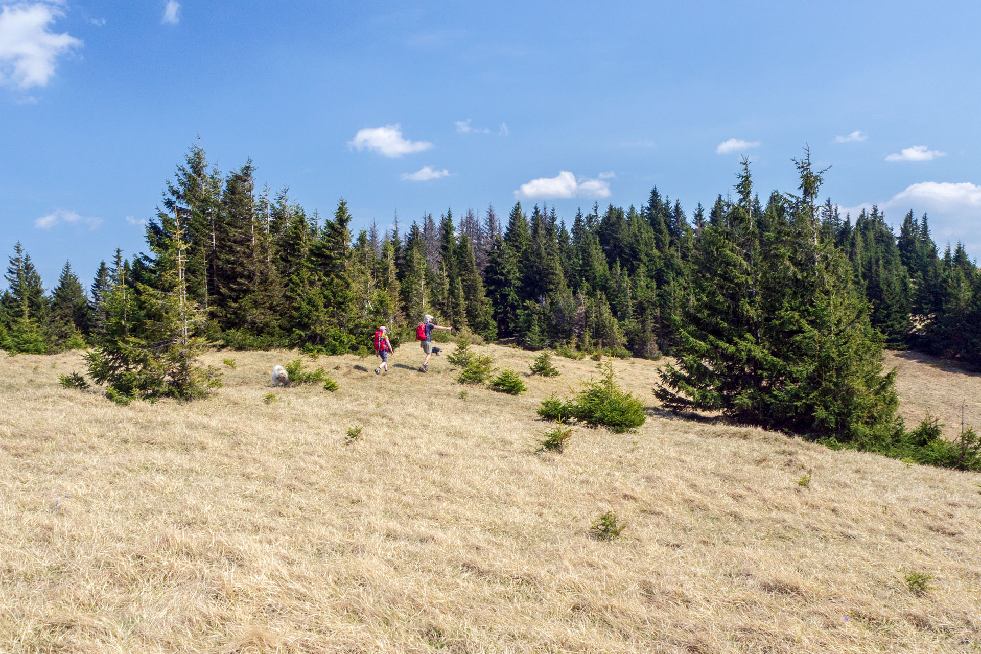 Tlstá a Ostrá z Konského dolu, ústia (Veľká Fatra)