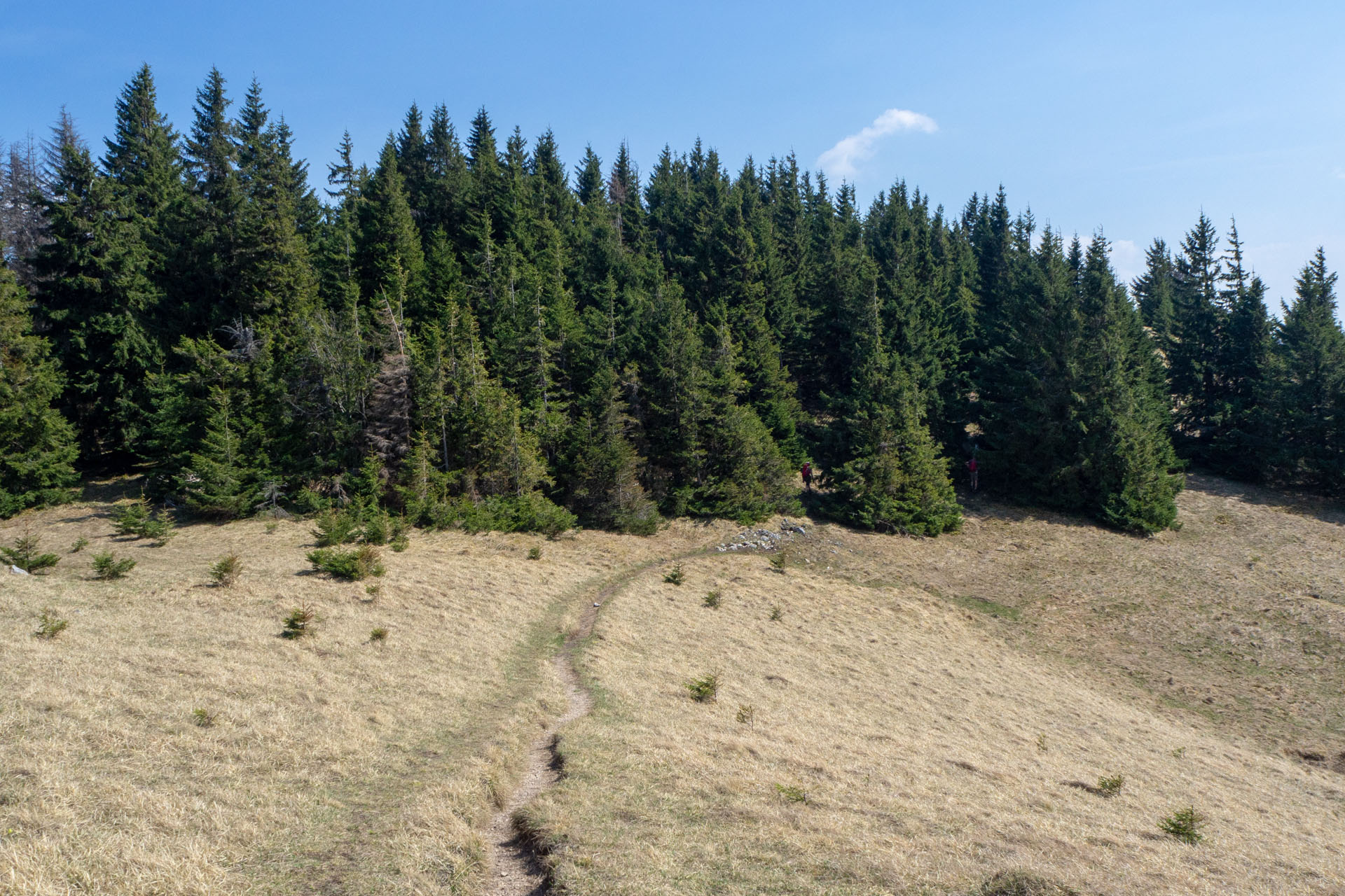 Tlstá a Ostrá z Konského dolu, ústia (Veľká Fatra)