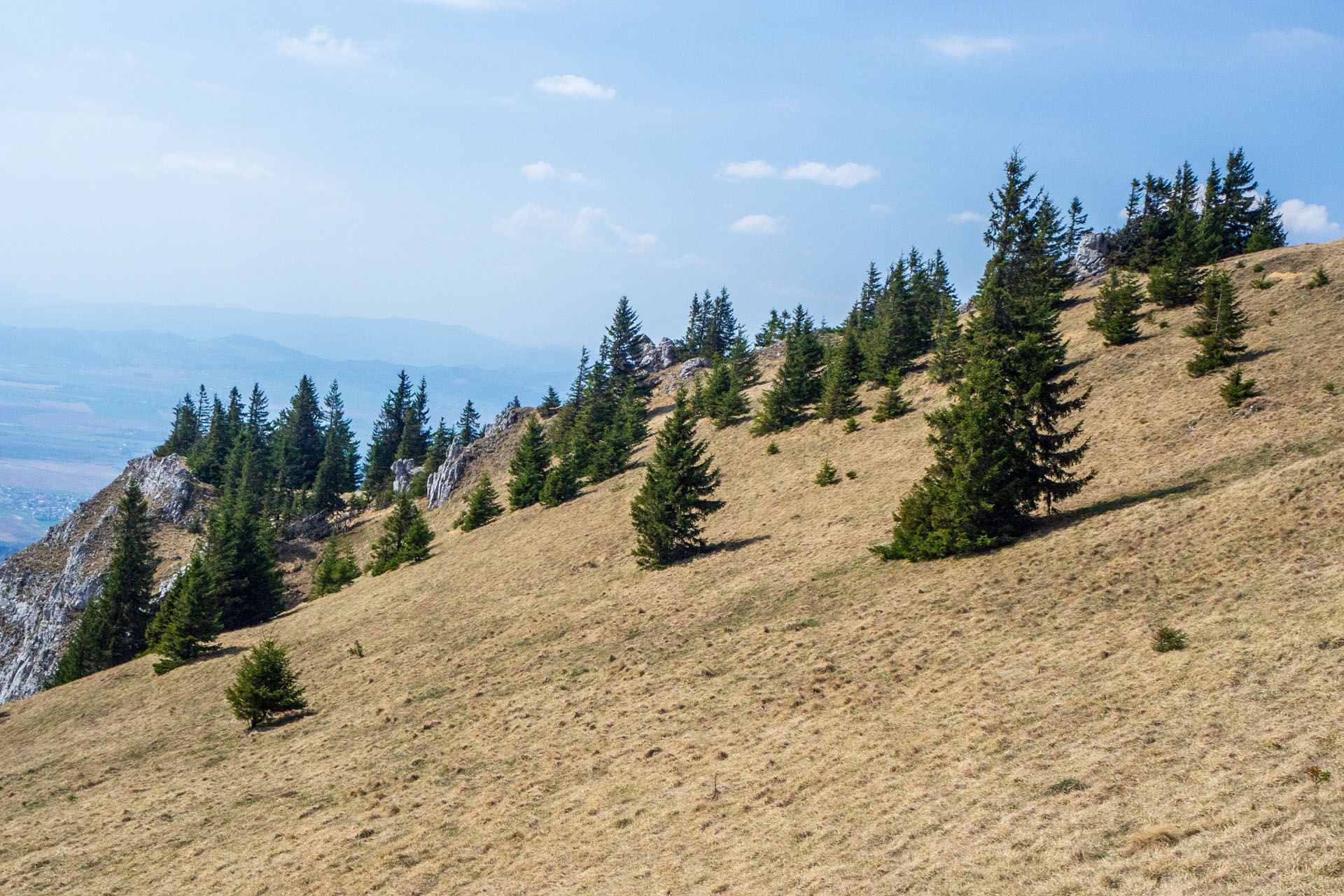 Tlstá a Ostrá z Konského dolu, ústia (Veľká Fatra)