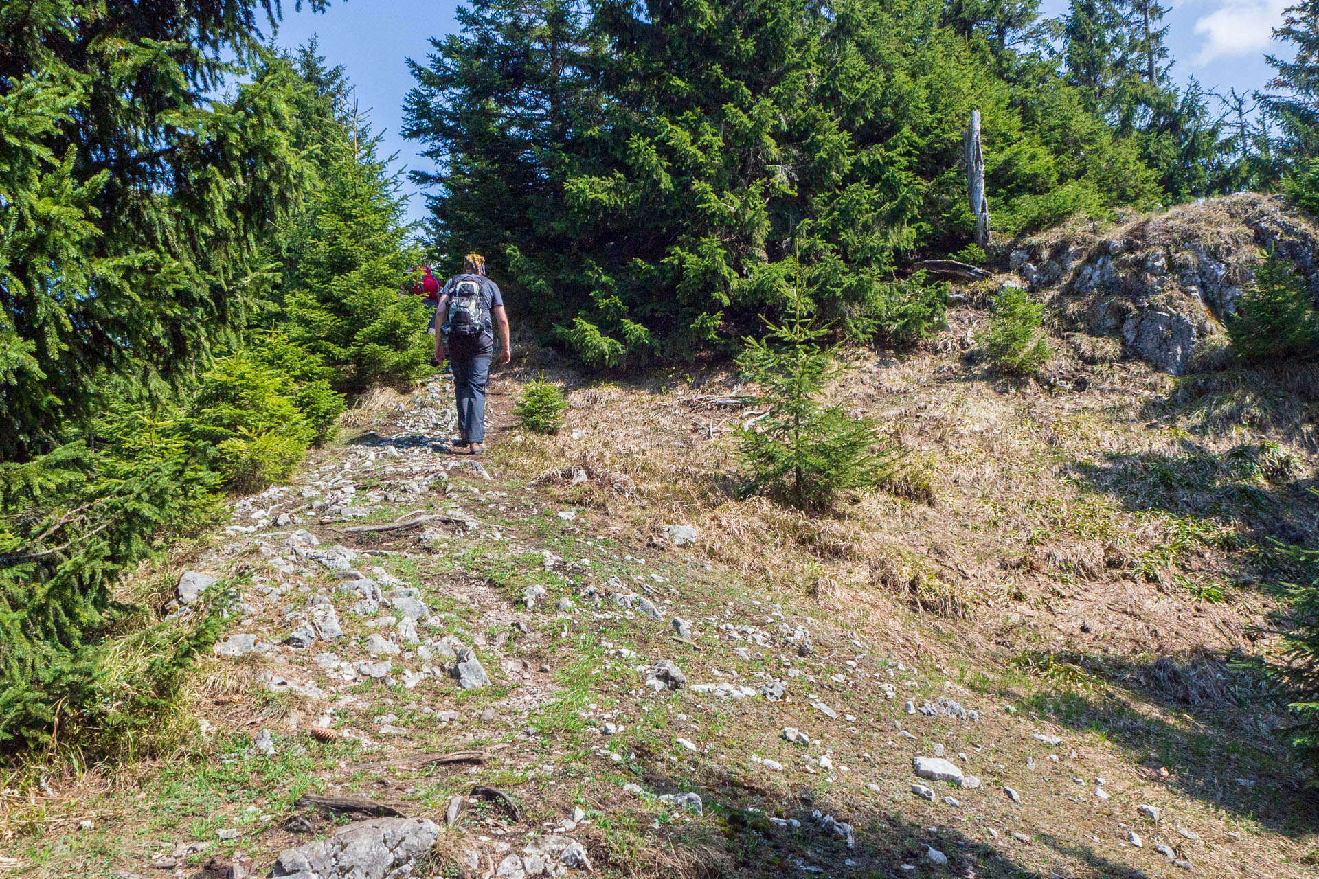 Tlstá a Ostrá z Konského dolu, ústia (Veľká Fatra)