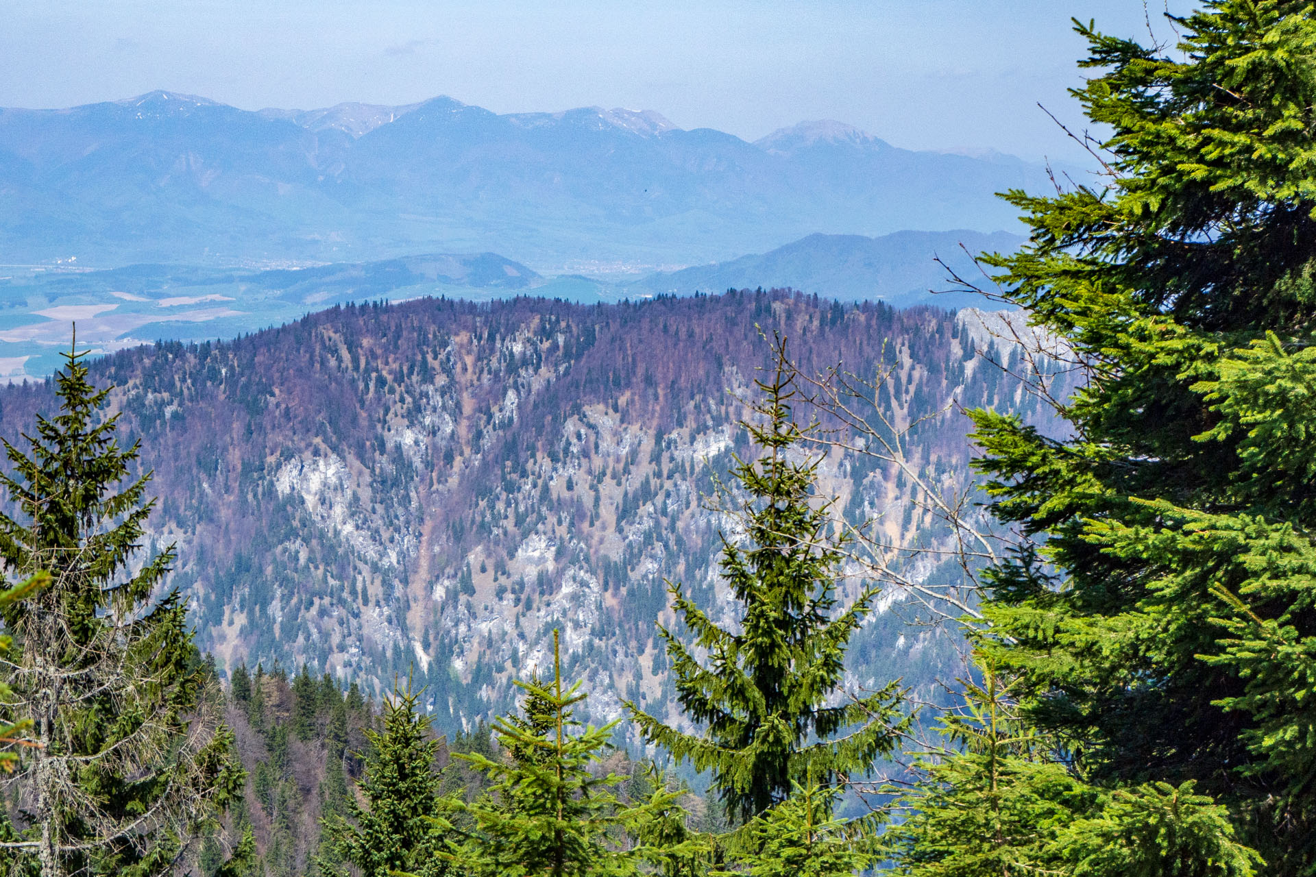 Tlstá a Ostrá z Konského dolu, ústia (Veľká Fatra)