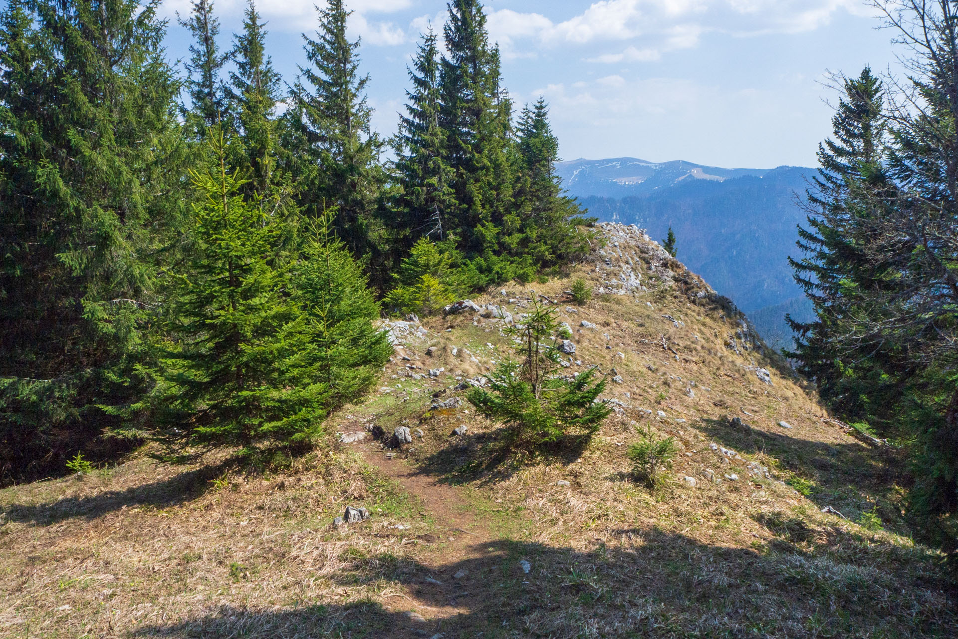 Tlstá a Ostrá z Konského dolu, ústia (Veľká Fatra)