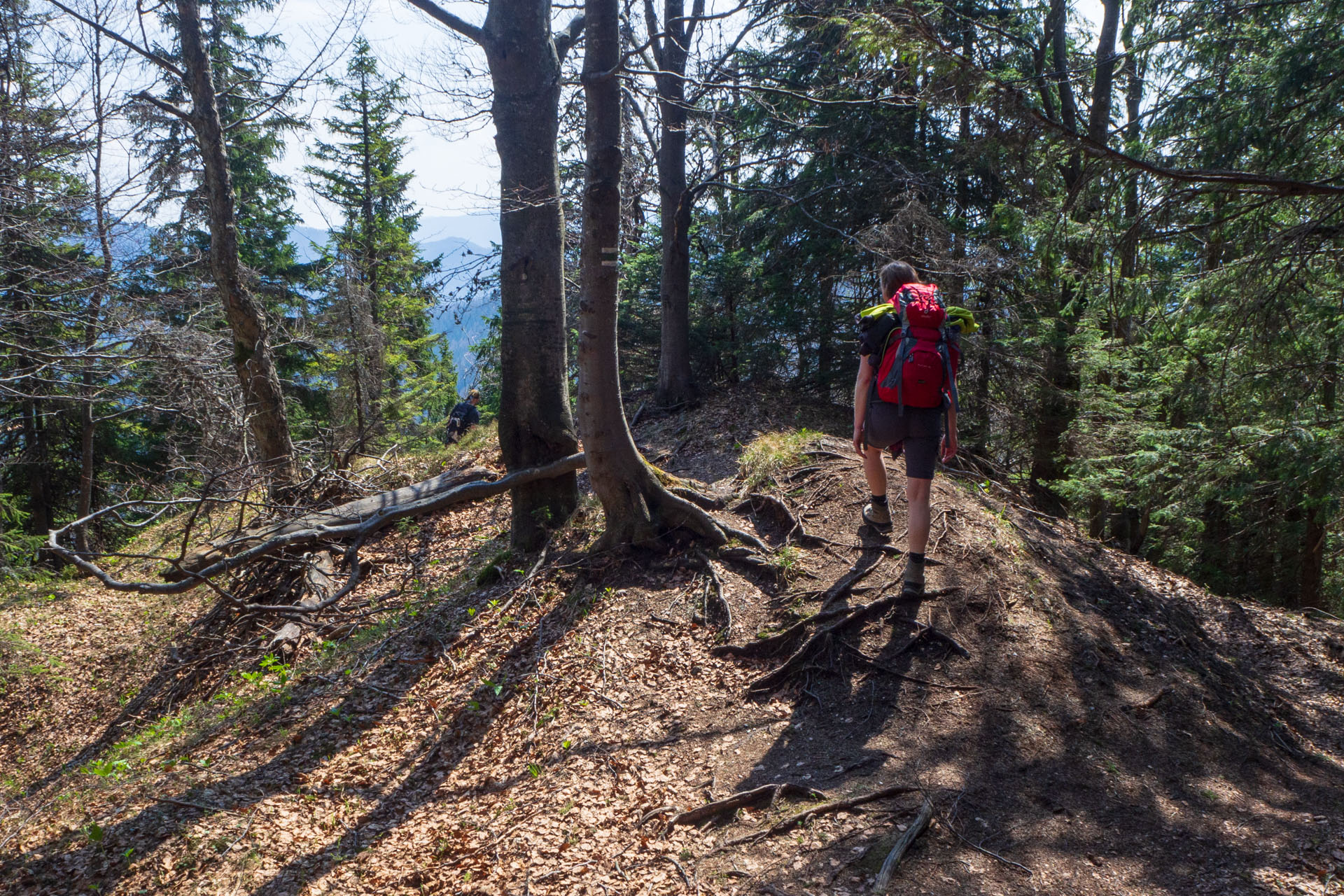 Tlstá a Ostrá z Konského dolu, ústia (Veľká Fatra)