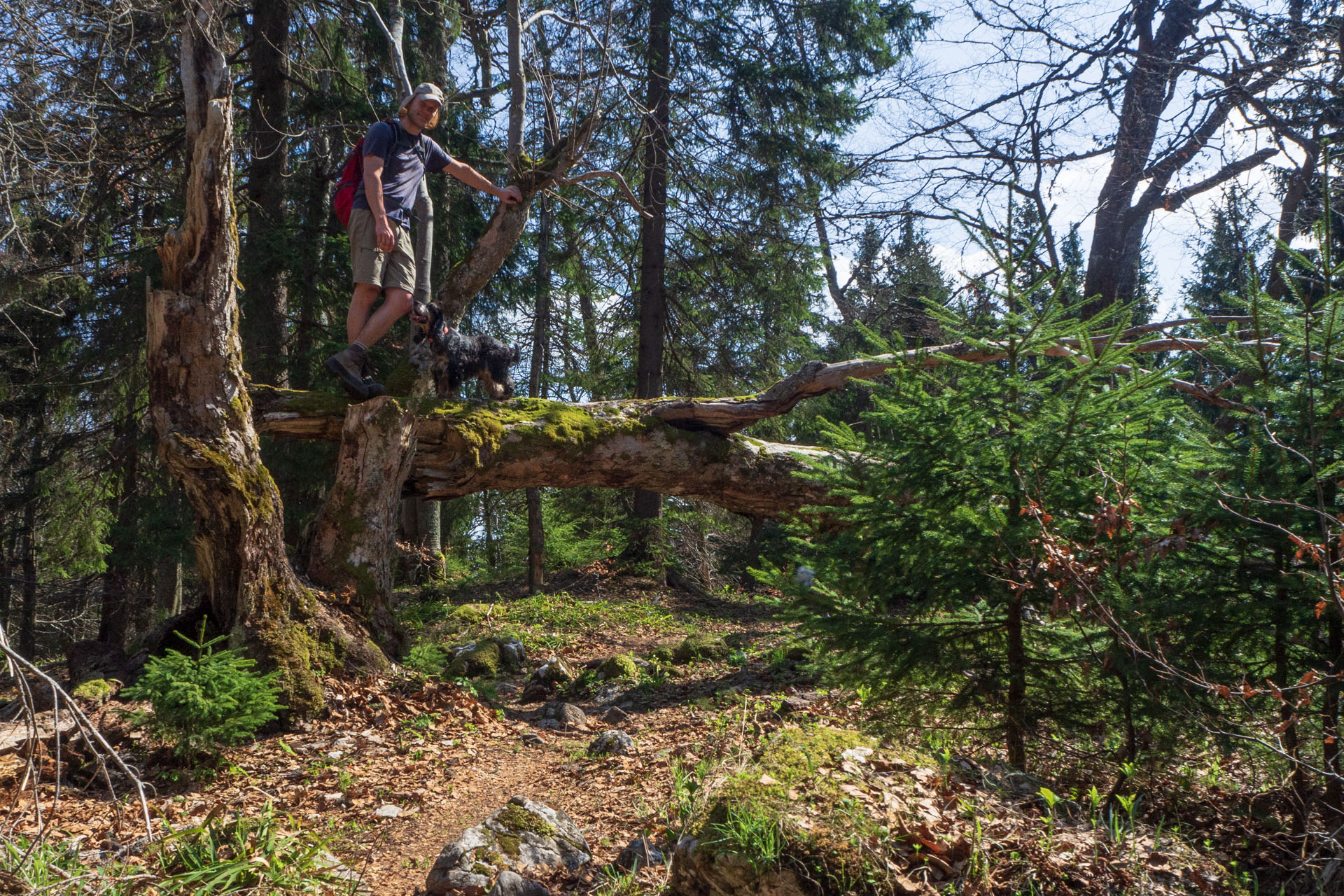 Tlstá a Ostrá z Konského dolu, ústia (Veľká Fatra)