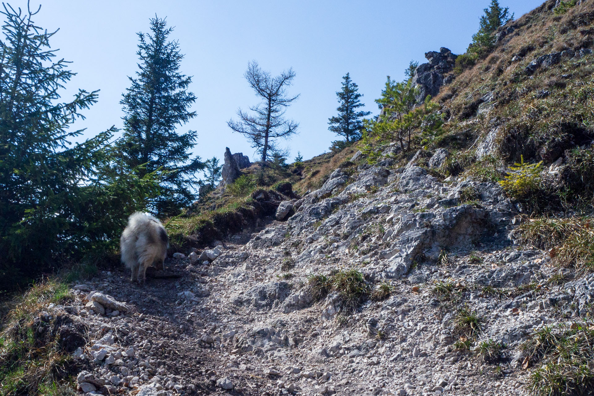 Tlstá a Ostrá z Konského dolu, ústia (Veľká Fatra)