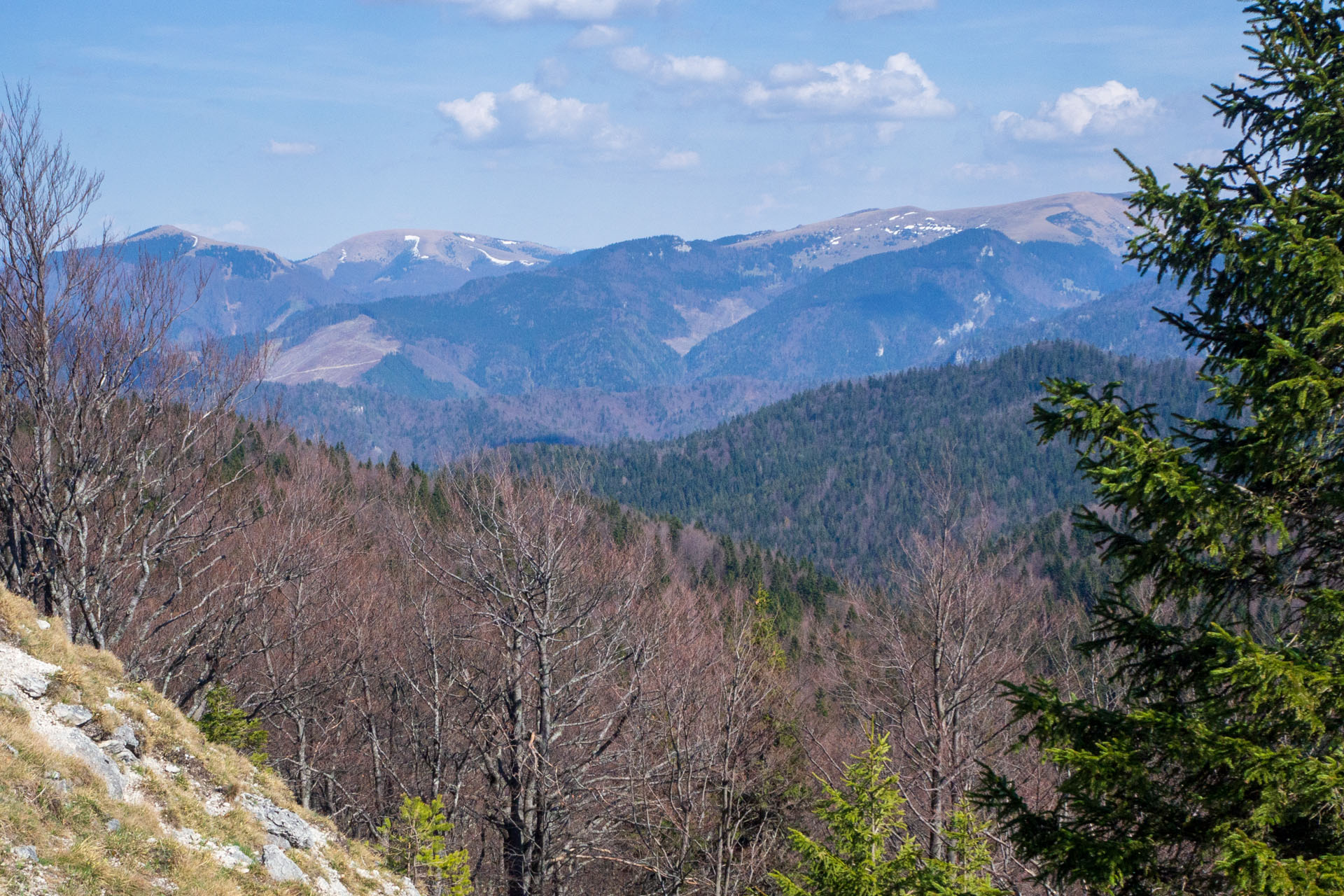 Tlstá a Ostrá z Konského dolu, ústia (Veľká Fatra)