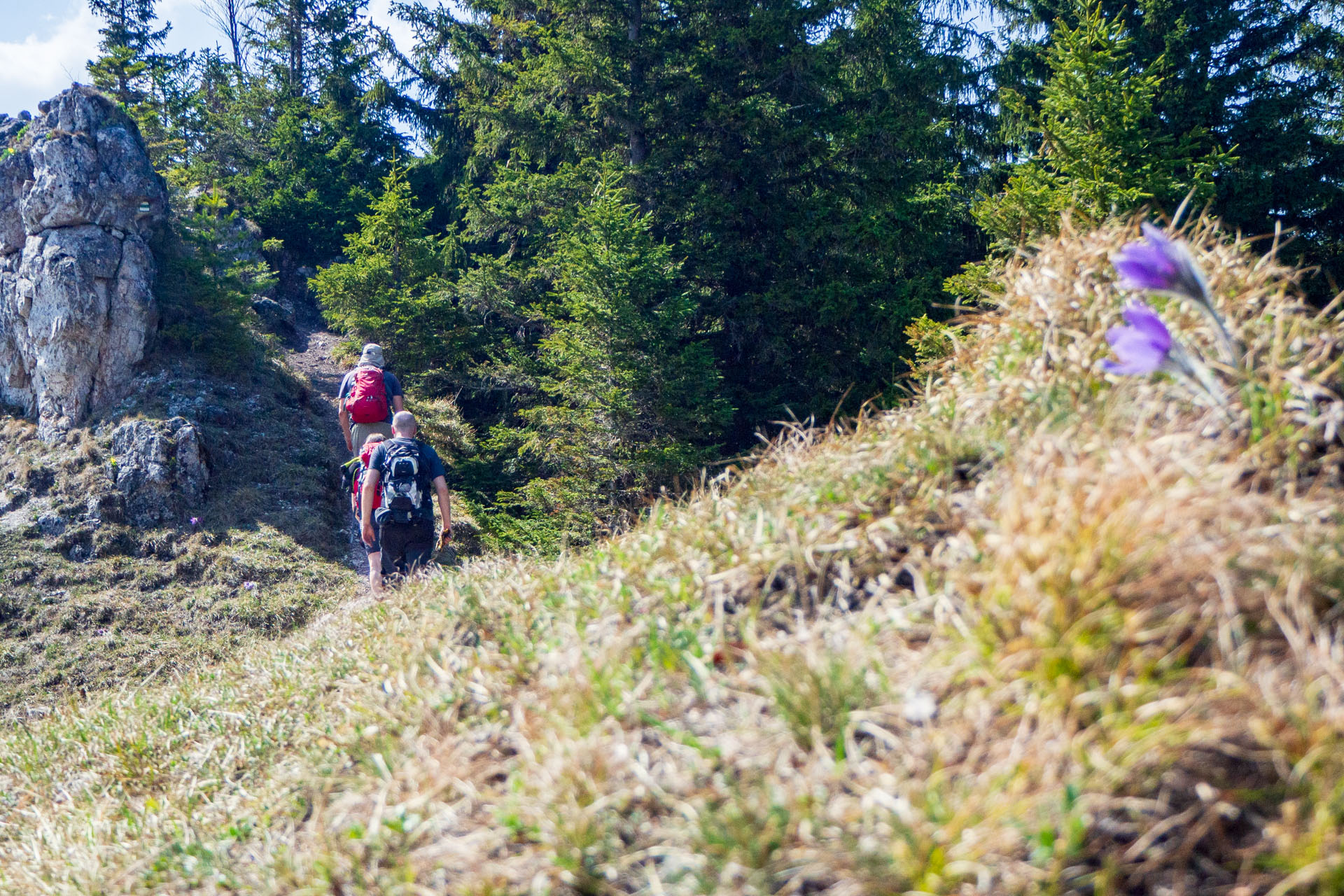 Tlstá a Ostrá z Konského dolu, ústia (Veľká Fatra)