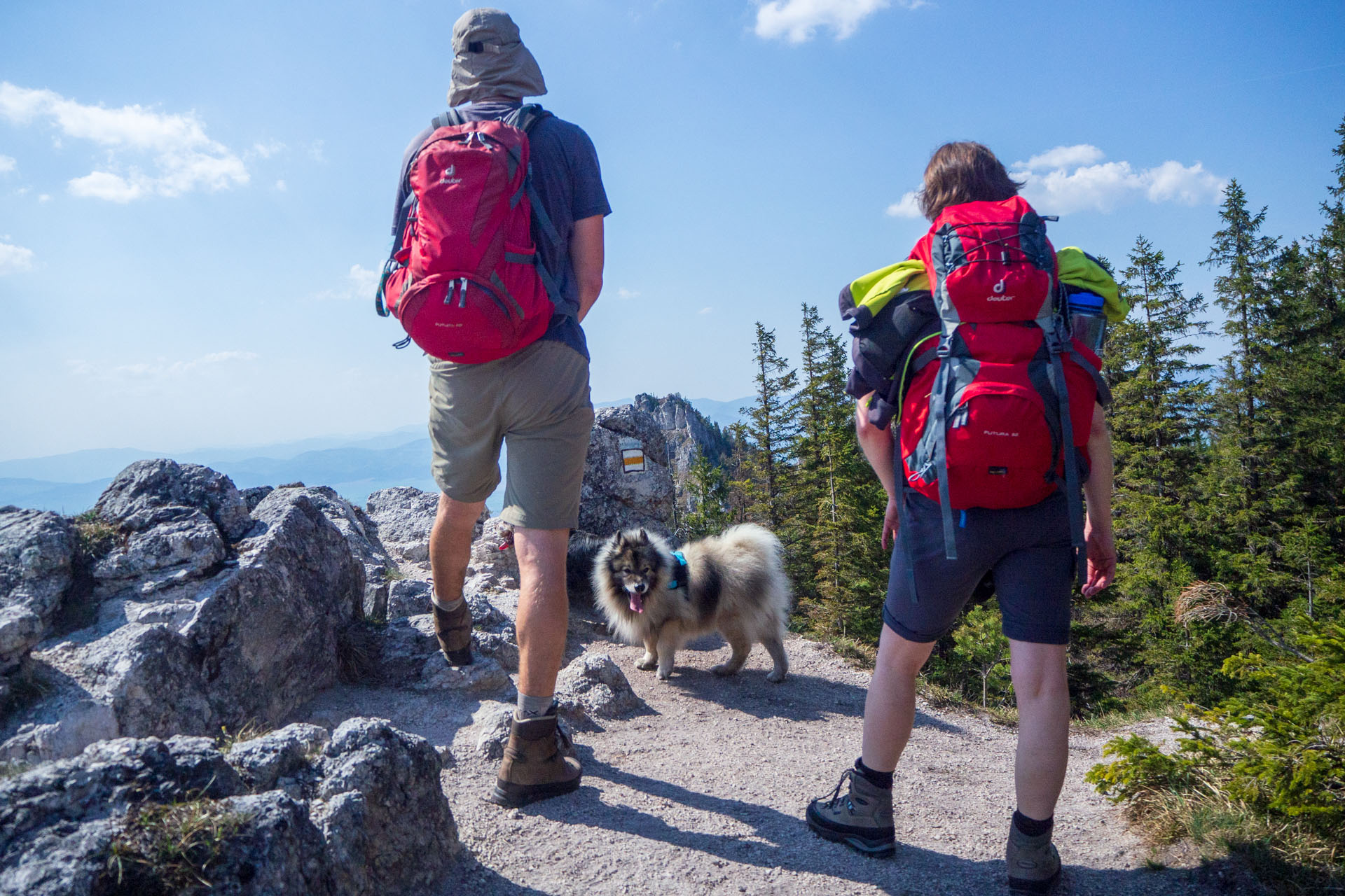 Tlstá a Ostrá z Konského dolu, ústia (Veľká Fatra)