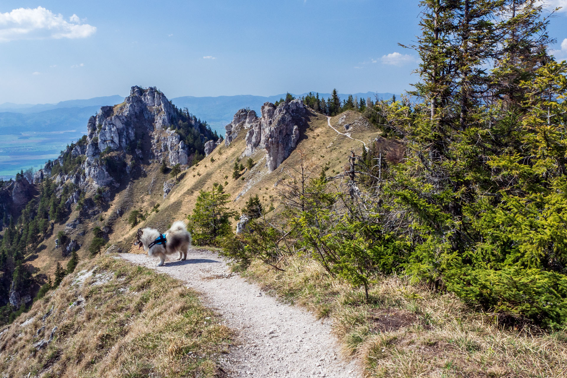 Tlstá a Ostrá z Konského dolu, ústia (Veľká Fatra)