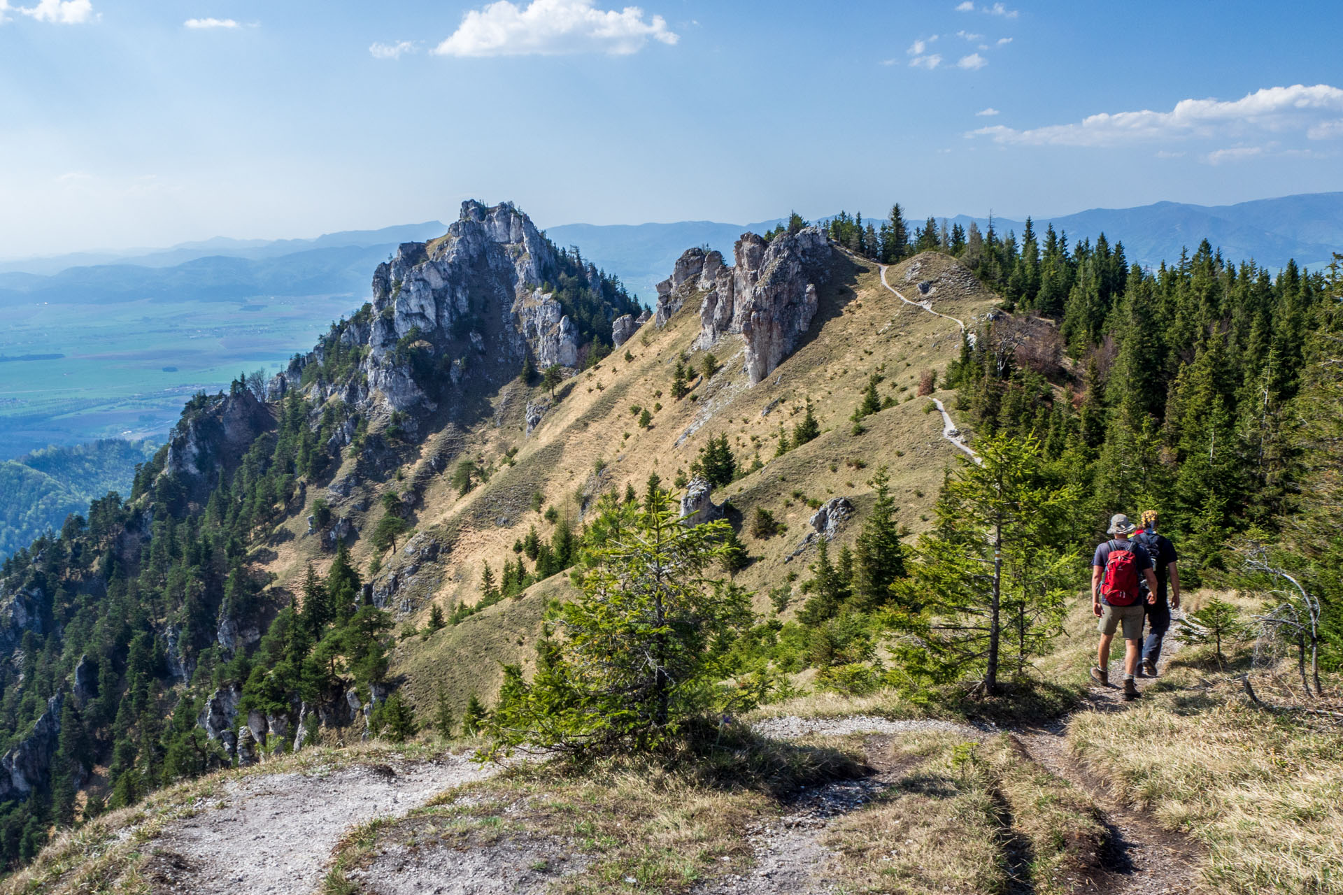 Tlstá a Ostrá z Konského dolu, ústia (Veľká Fatra)