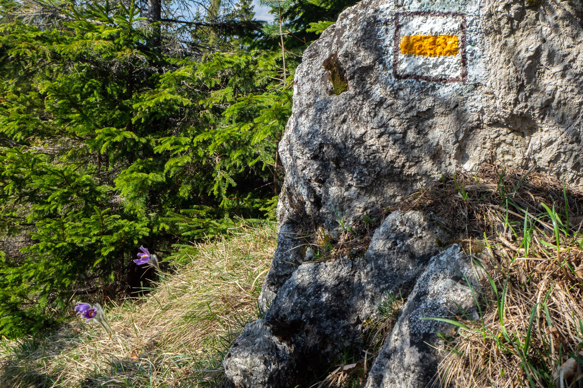 Tlstá a Ostrá z Konského dolu, ústia (Veľká Fatra)