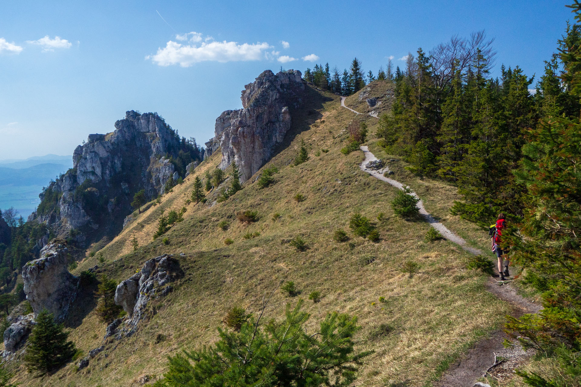 Tlstá a Ostrá z Konského dolu, ústia (Veľká Fatra)