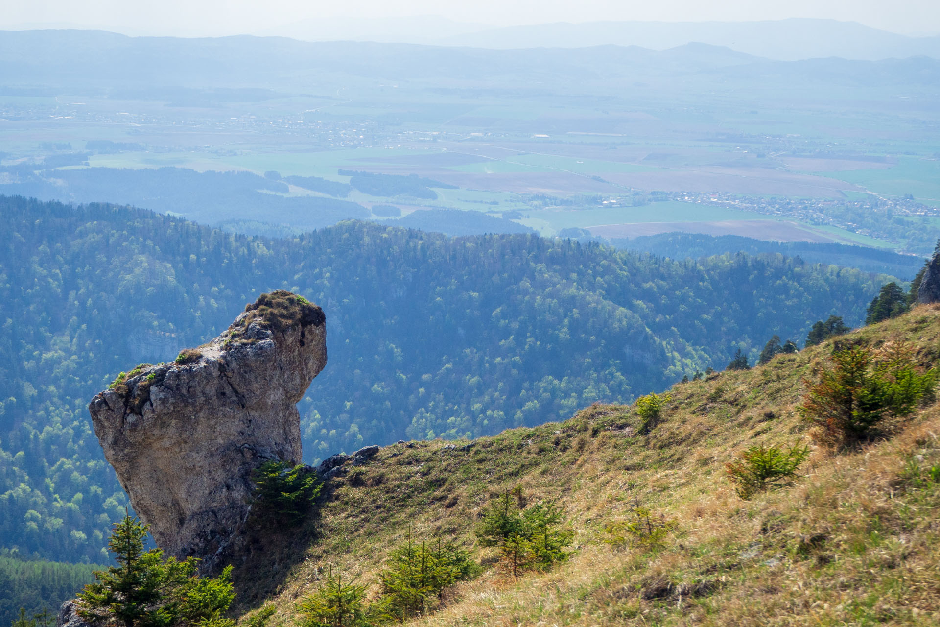 Tlstá a Ostrá z Konského dolu, ústia (Veľká Fatra)