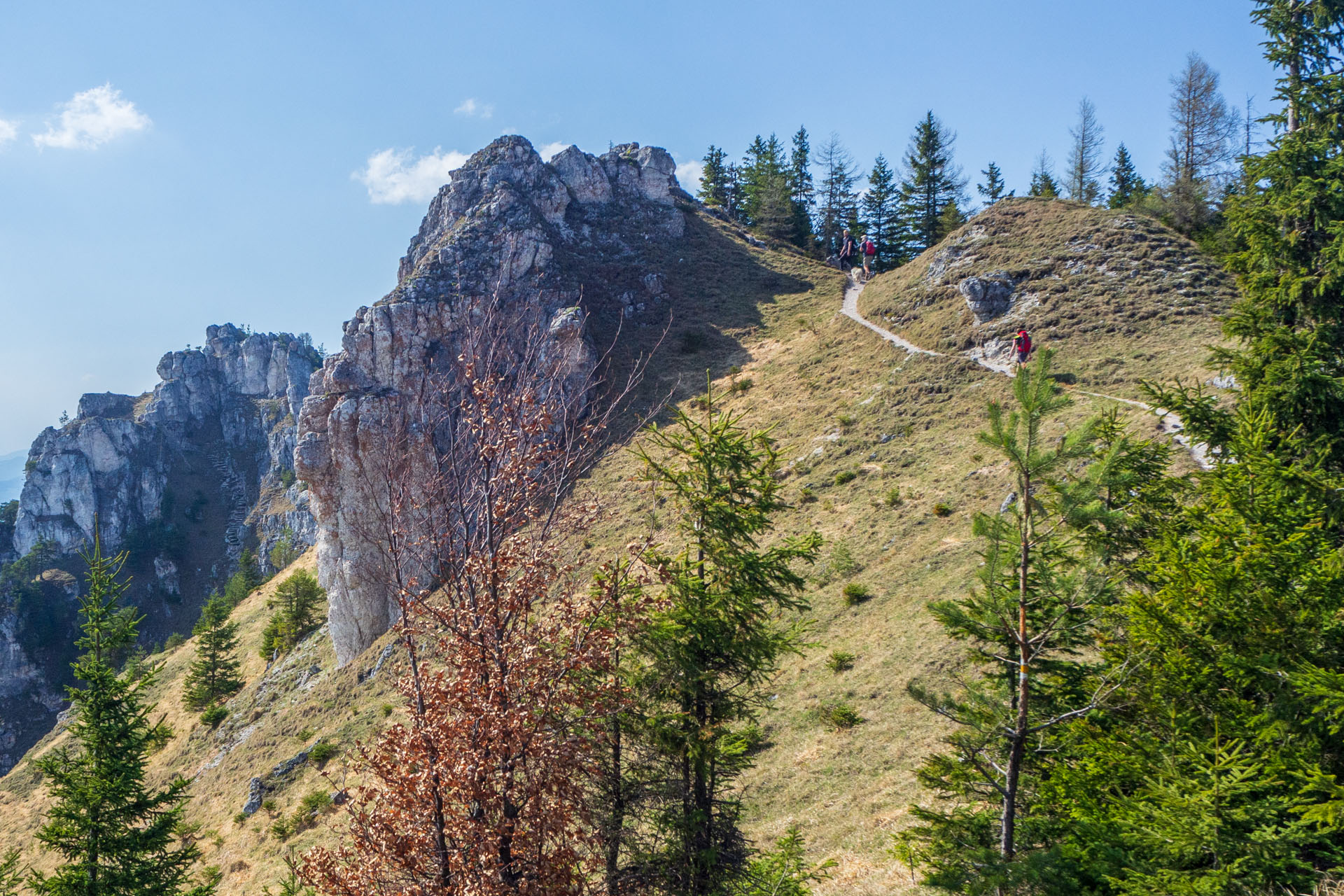 Tlstá a Ostrá z Konského dolu, ústia (Veľká Fatra)