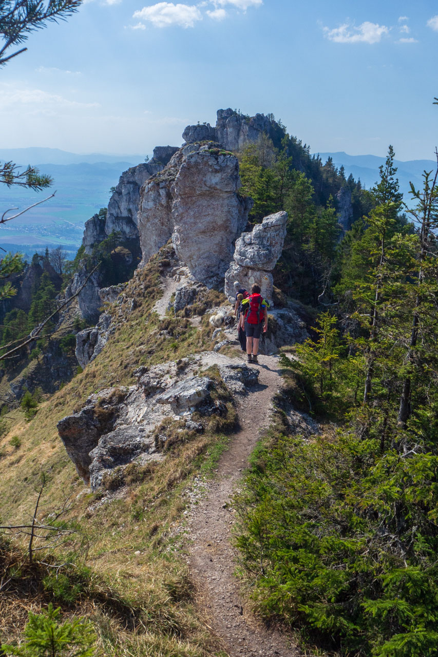 Tlstá a Ostrá z Konského dolu, ústia (Veľká Fatra)