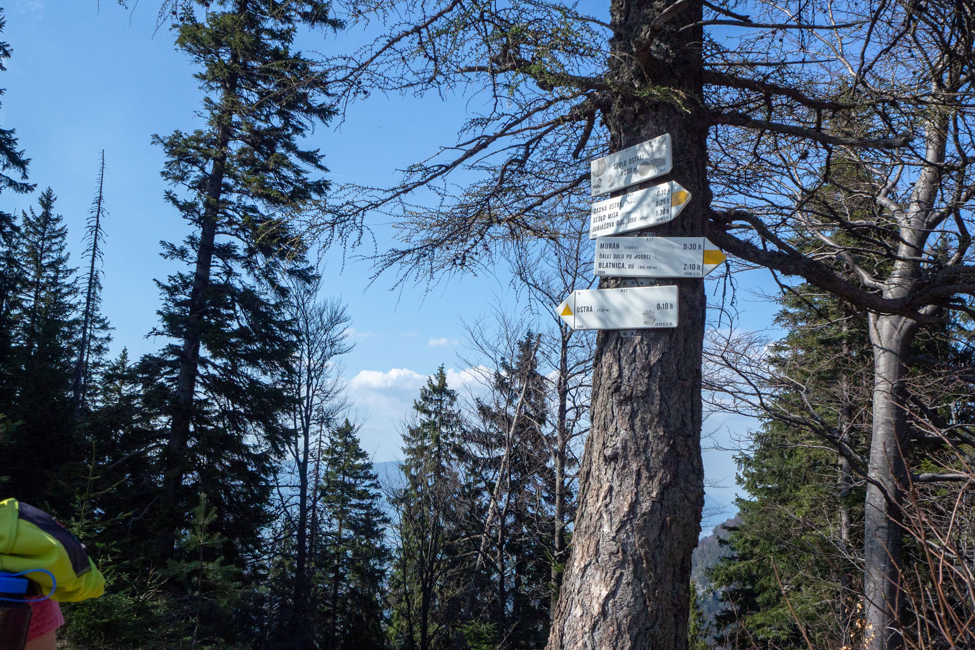 Tlstá a Ostrá z Konského dolu, ústia (Veľká Fatra)