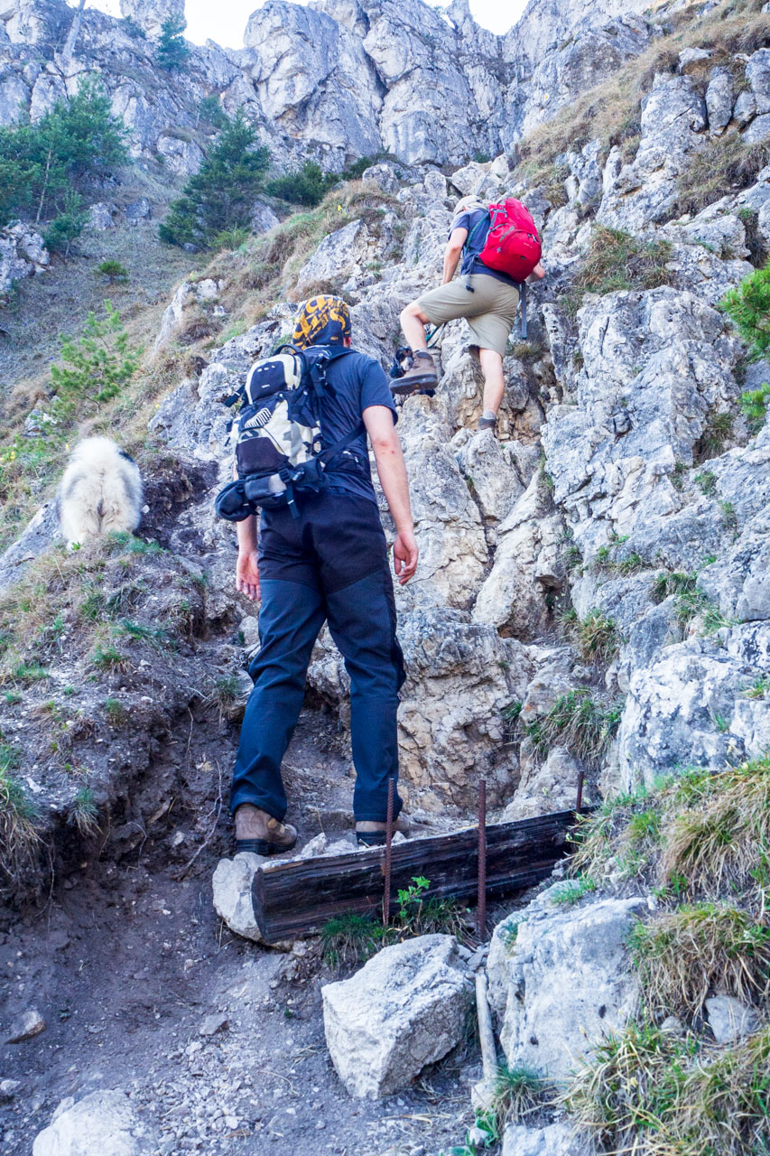 Tlstá a Ostrá z Konského dolu, ústia (Veľká Fatra)