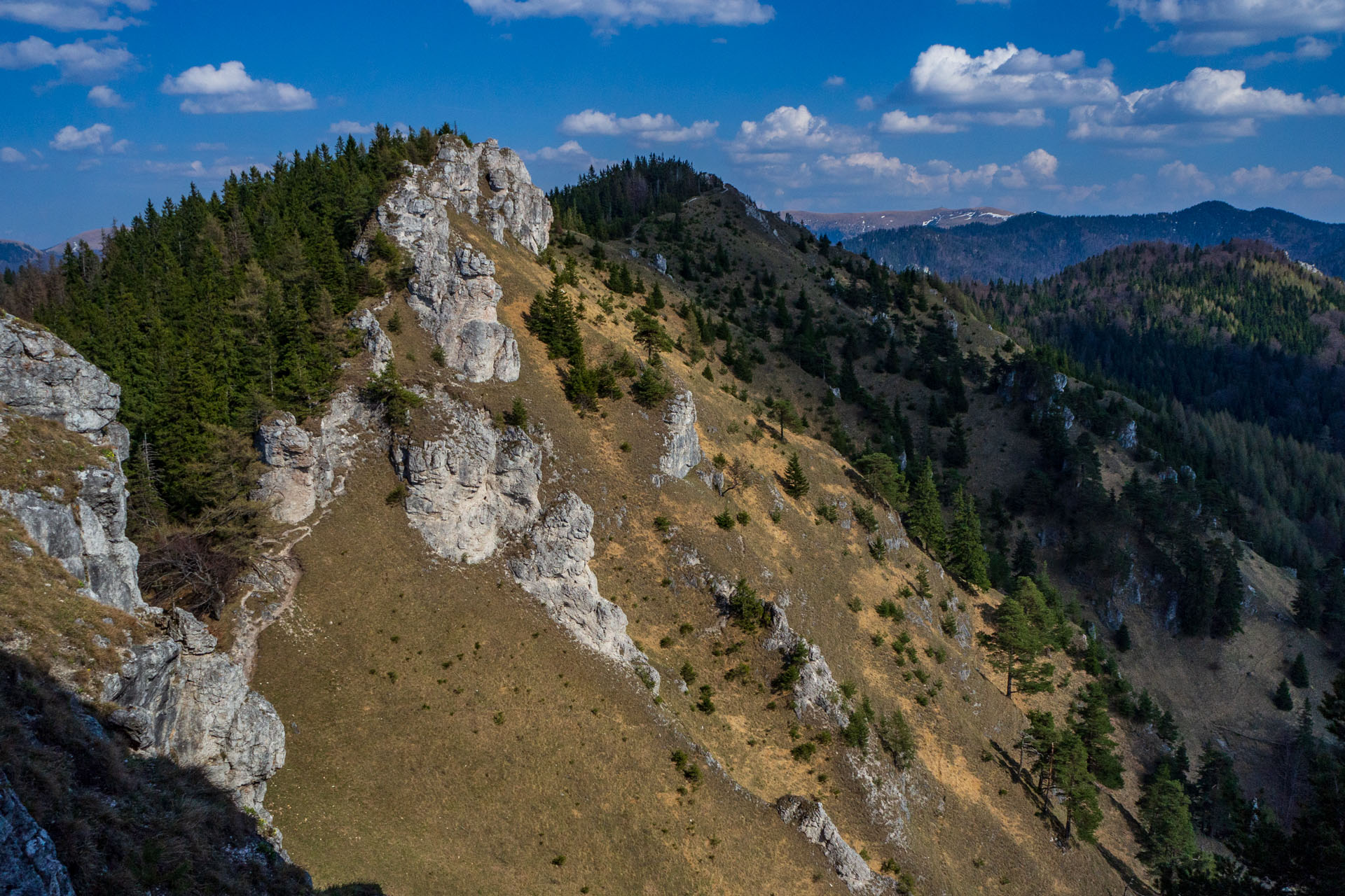 Tlstá a Ostrá z Konského dolu, ústia (Veľká Fatra)