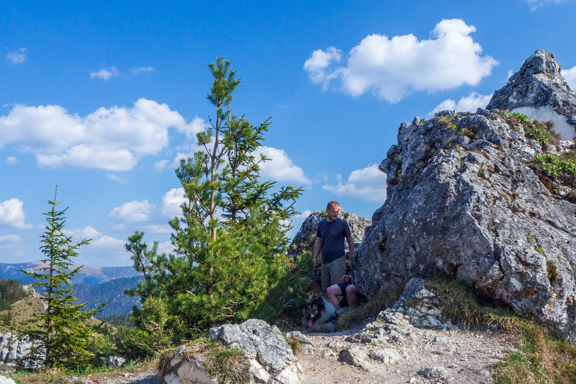 Tlstá a Ostrá z Konského dolu, ústia (Veľká Fatra)