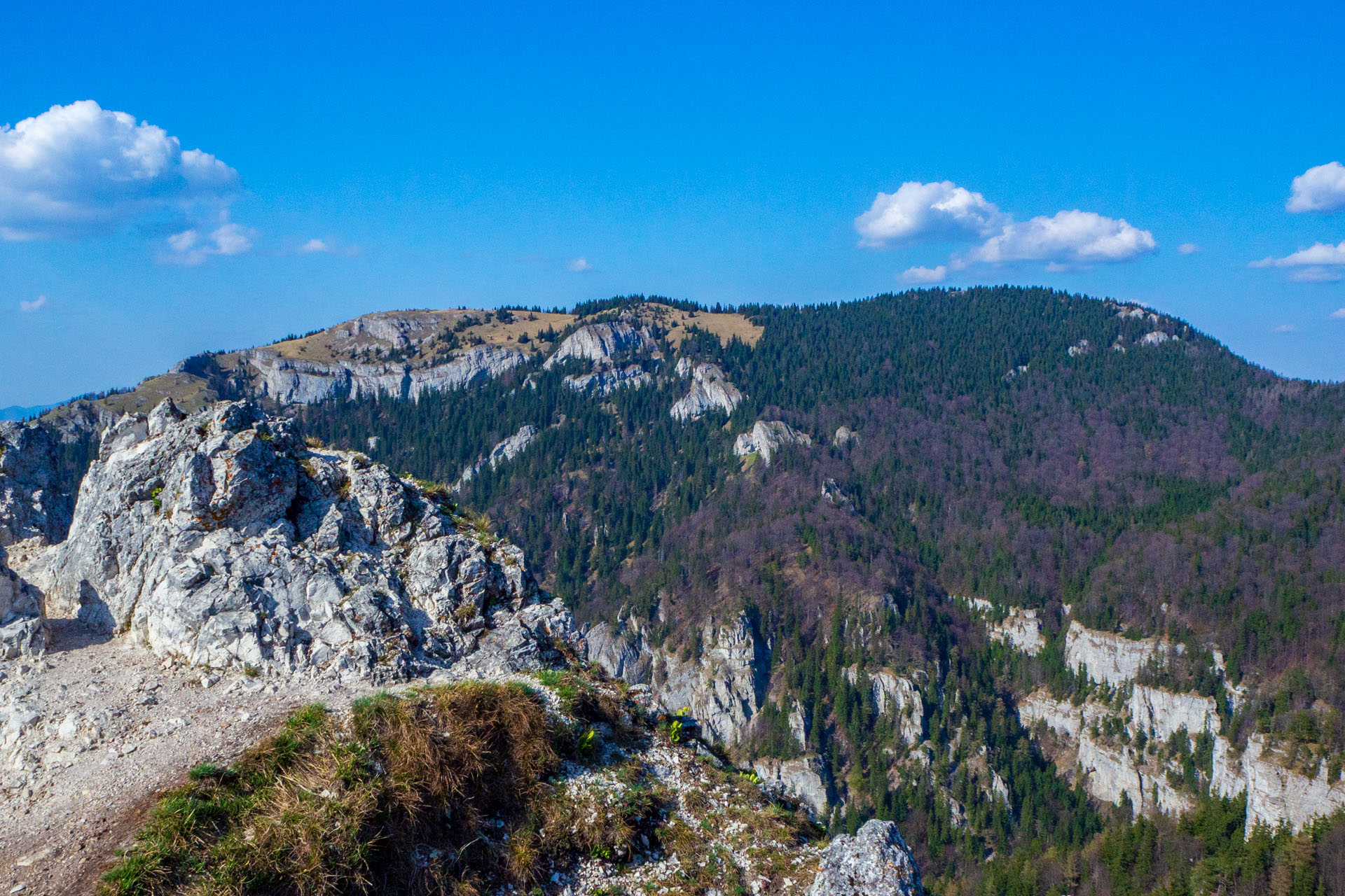 Tlstá a Ostrá z Konského dolu, ústia (Veľká Fatra)