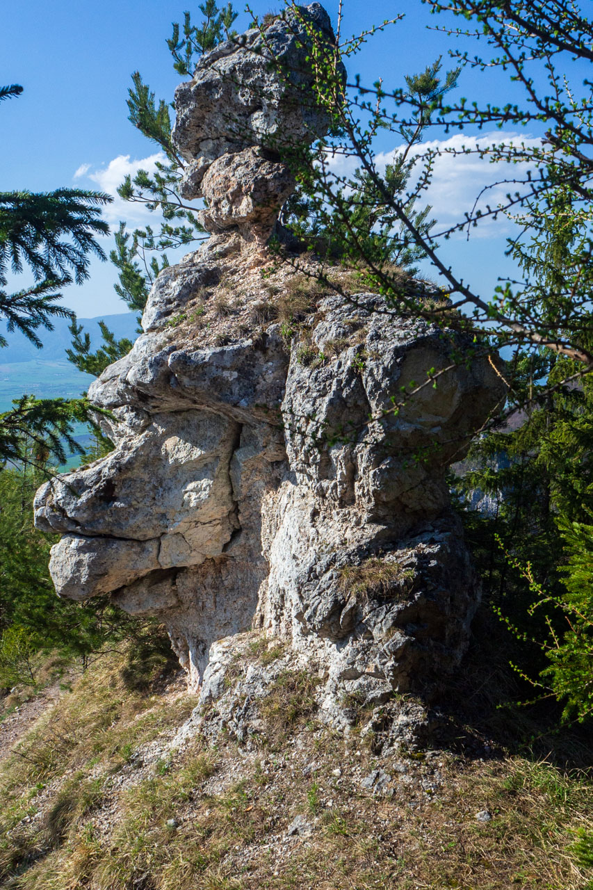 Tlstá a Ostrá z Konského dolu, ústia (Veľká Fatra)