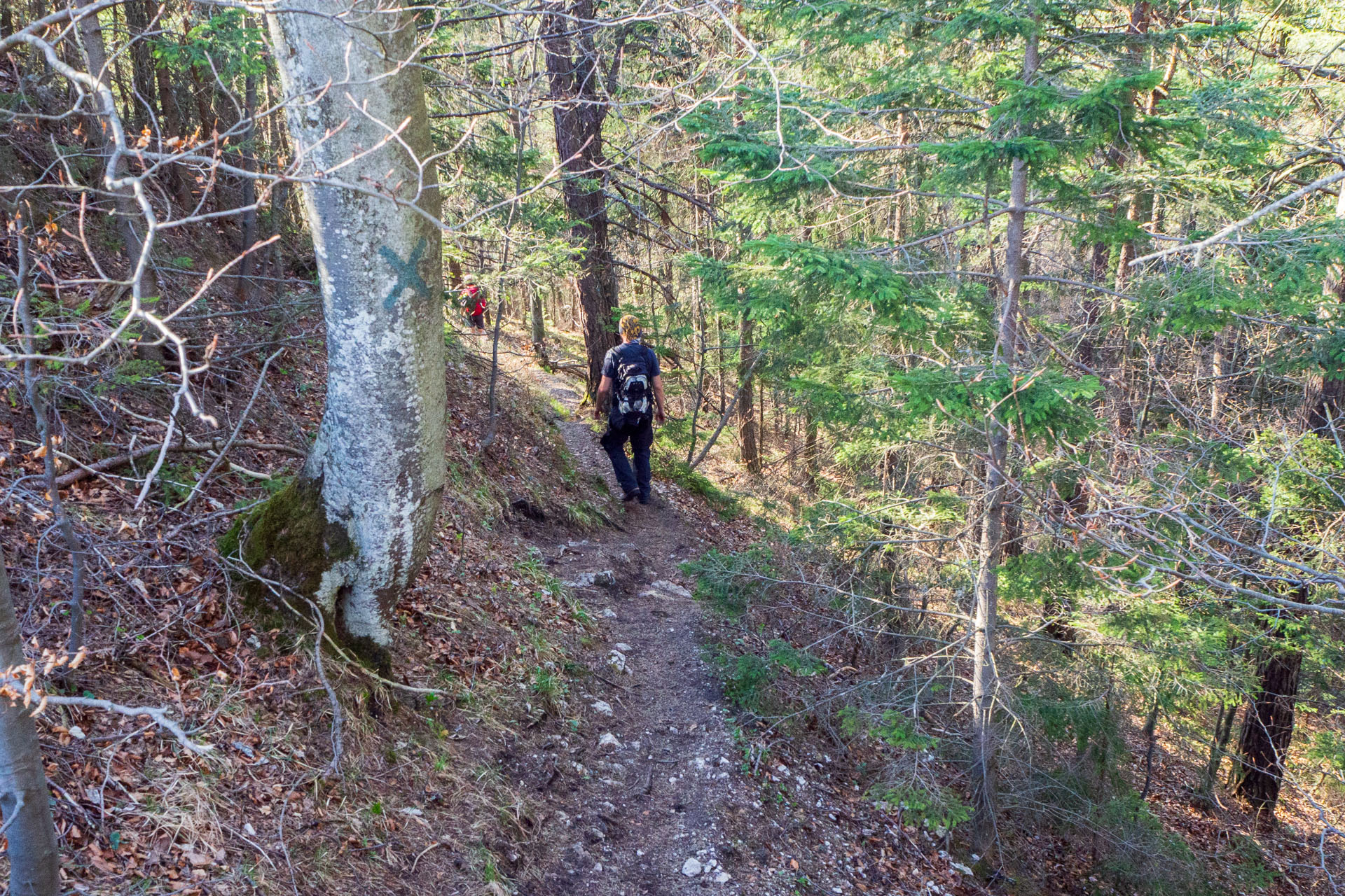 Tlstá a Ostrá z Konského dolu, ústia (Veľká Fatra)