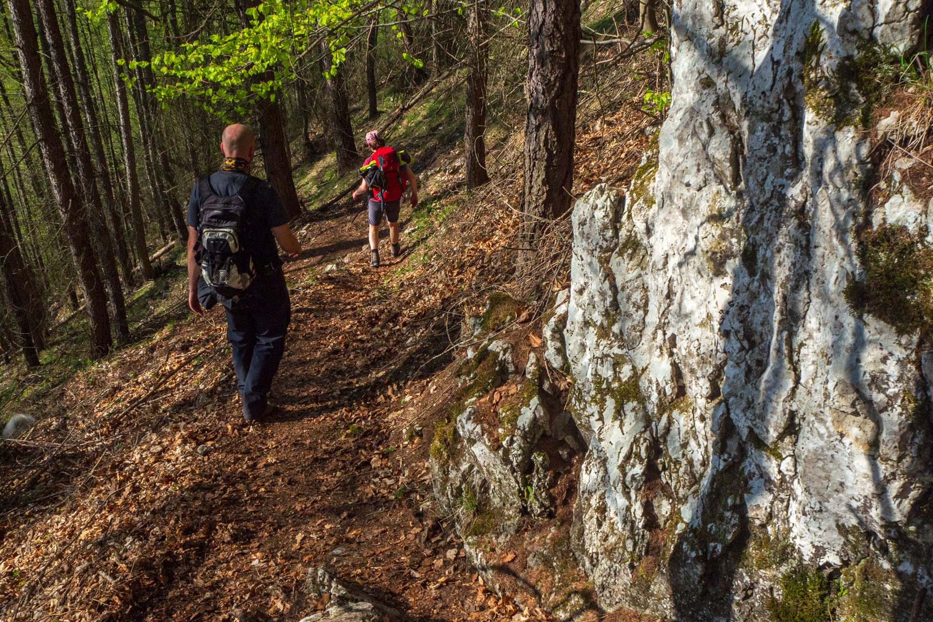 Tlstá a Ostrá z Konského dolu, ústia (Veľká Fatra)