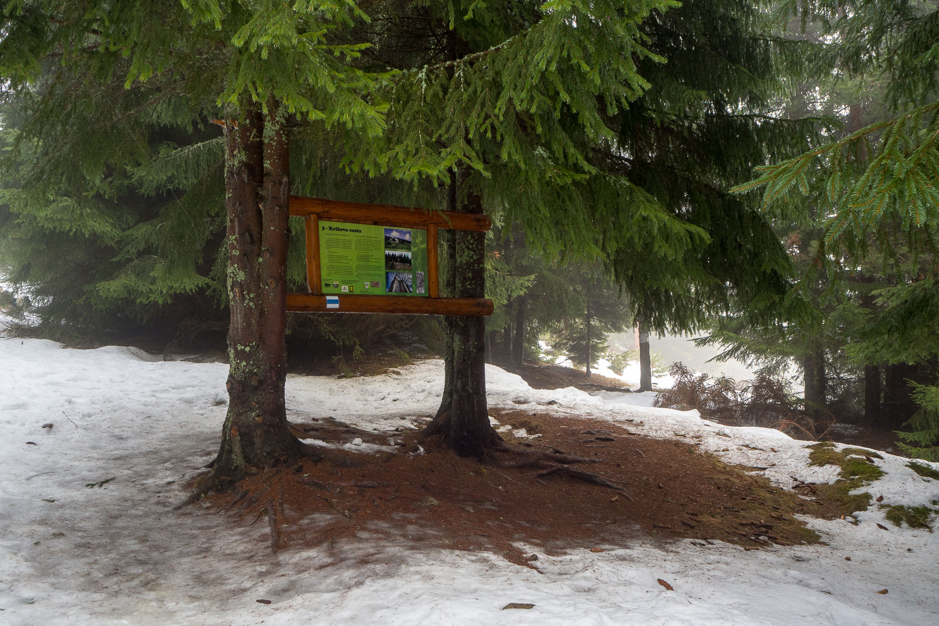 Kráľova hoľa zo Šumiaca (Nízke Tatry)