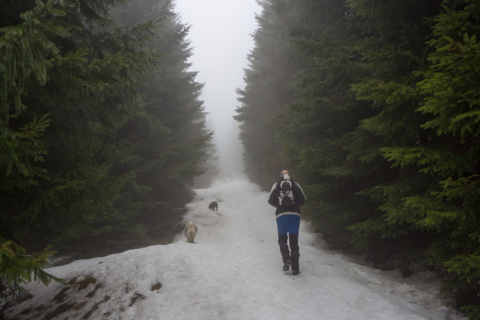 Kráľova hoľa zo Šumiaca (Nízke Tatry)