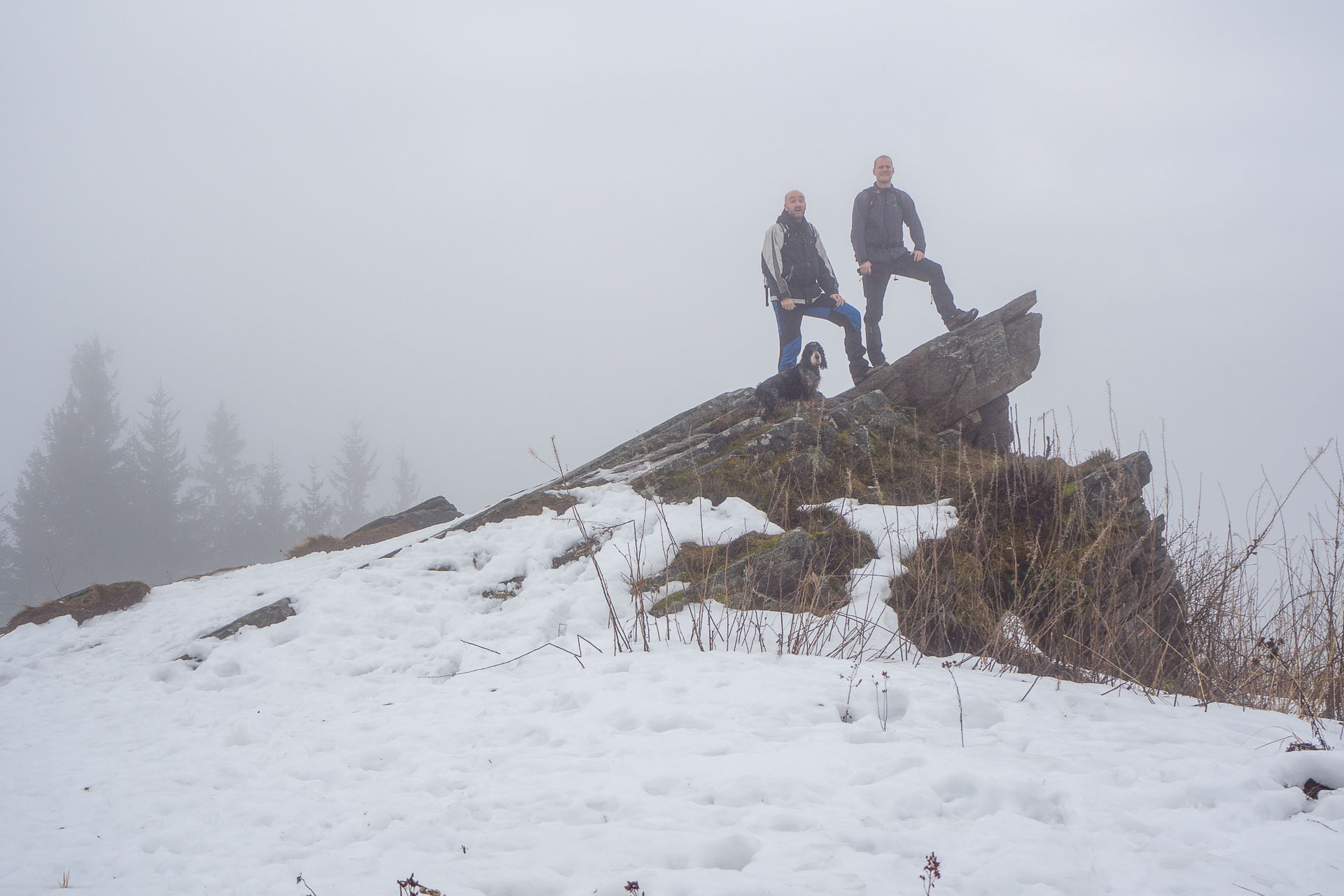 Kráľova hoľa zo Šumiaca (Nízke Tatry)