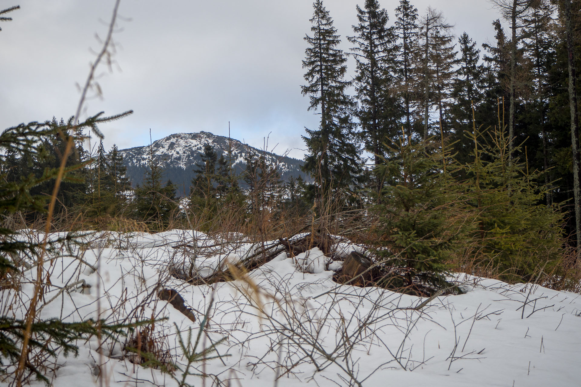 Kráľova hoľa zo Šumiaca (Nízke Tatry)