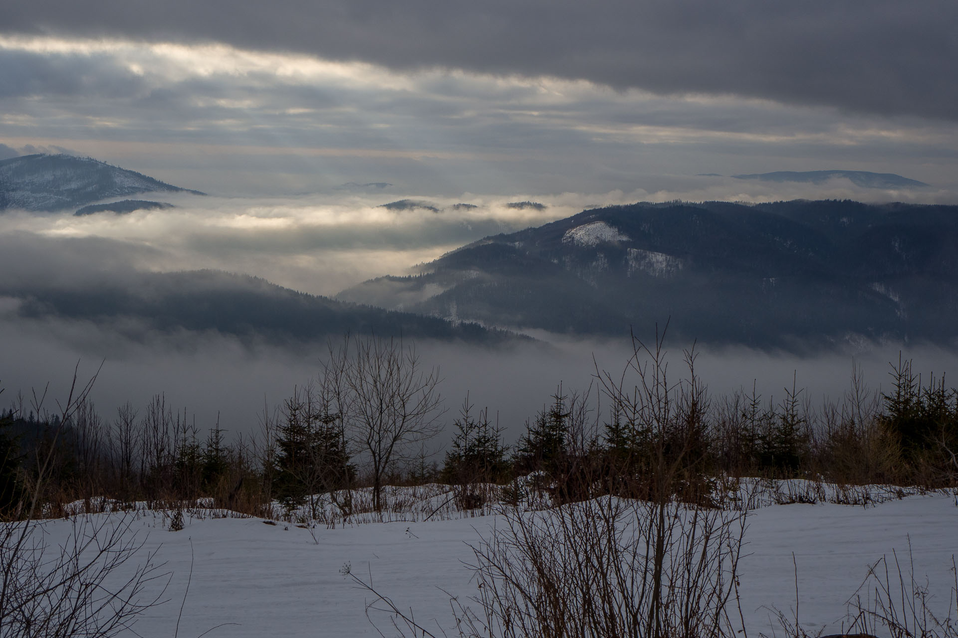 Kráľova hoľa zo Šumiaca (Nízke Tatry)