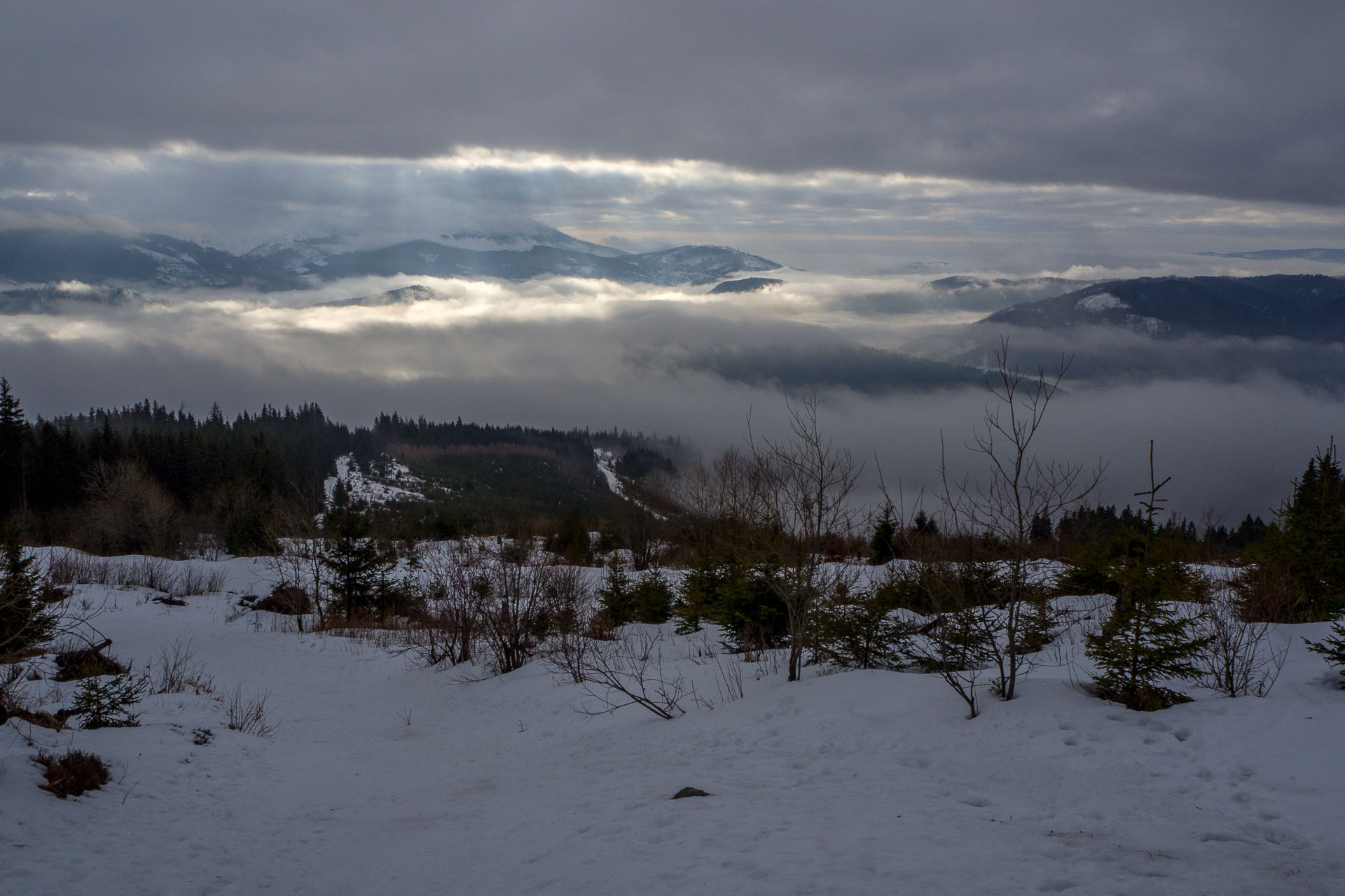 Kráľova hoľa zo Šumiaca (Nízke Tatry)